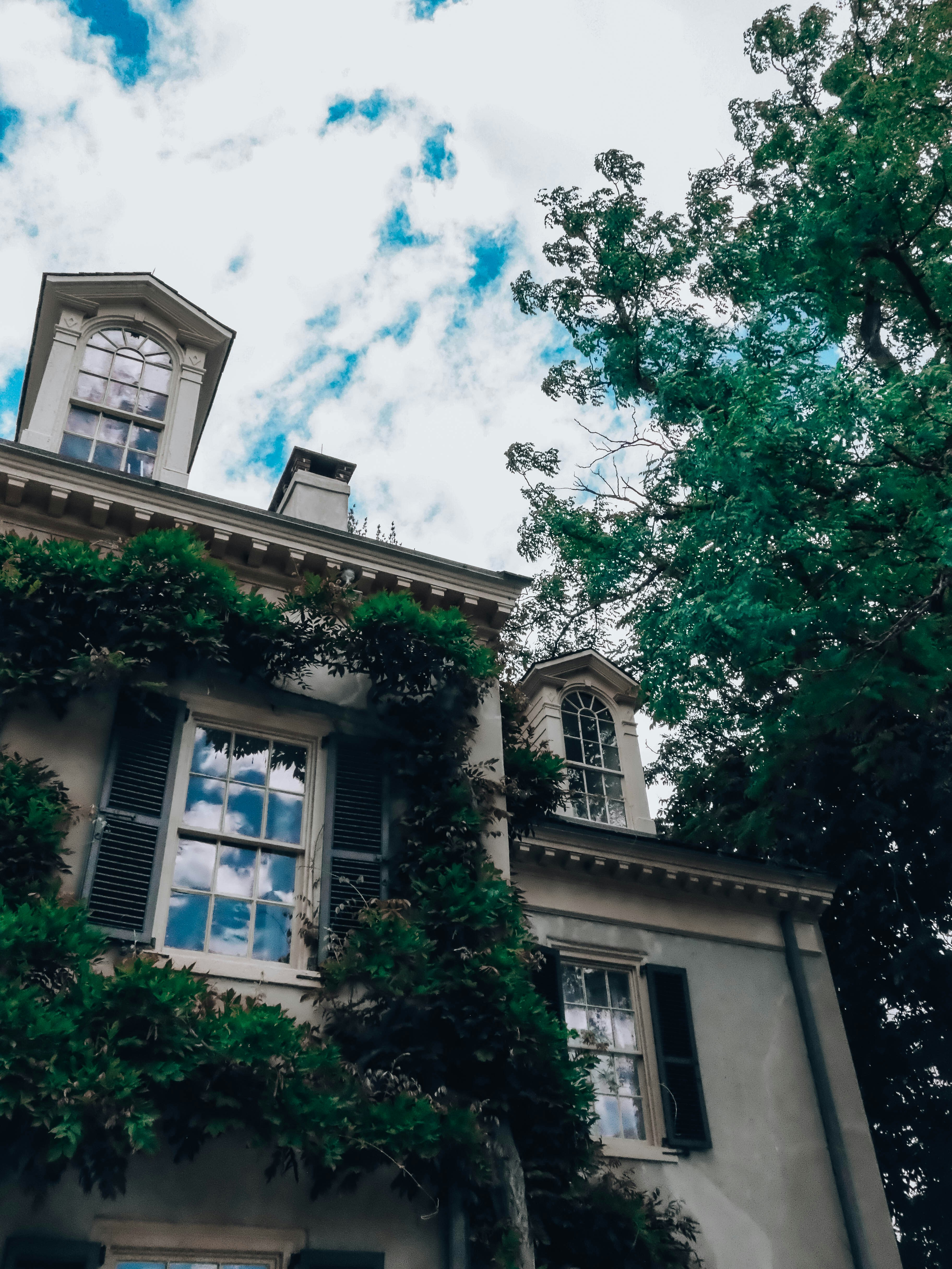 Photo by magicunsplash