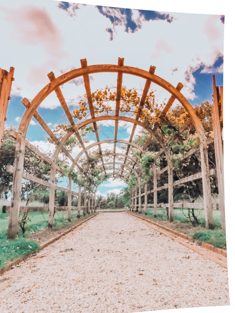 Pergola ceremony space with vineyard backdrop