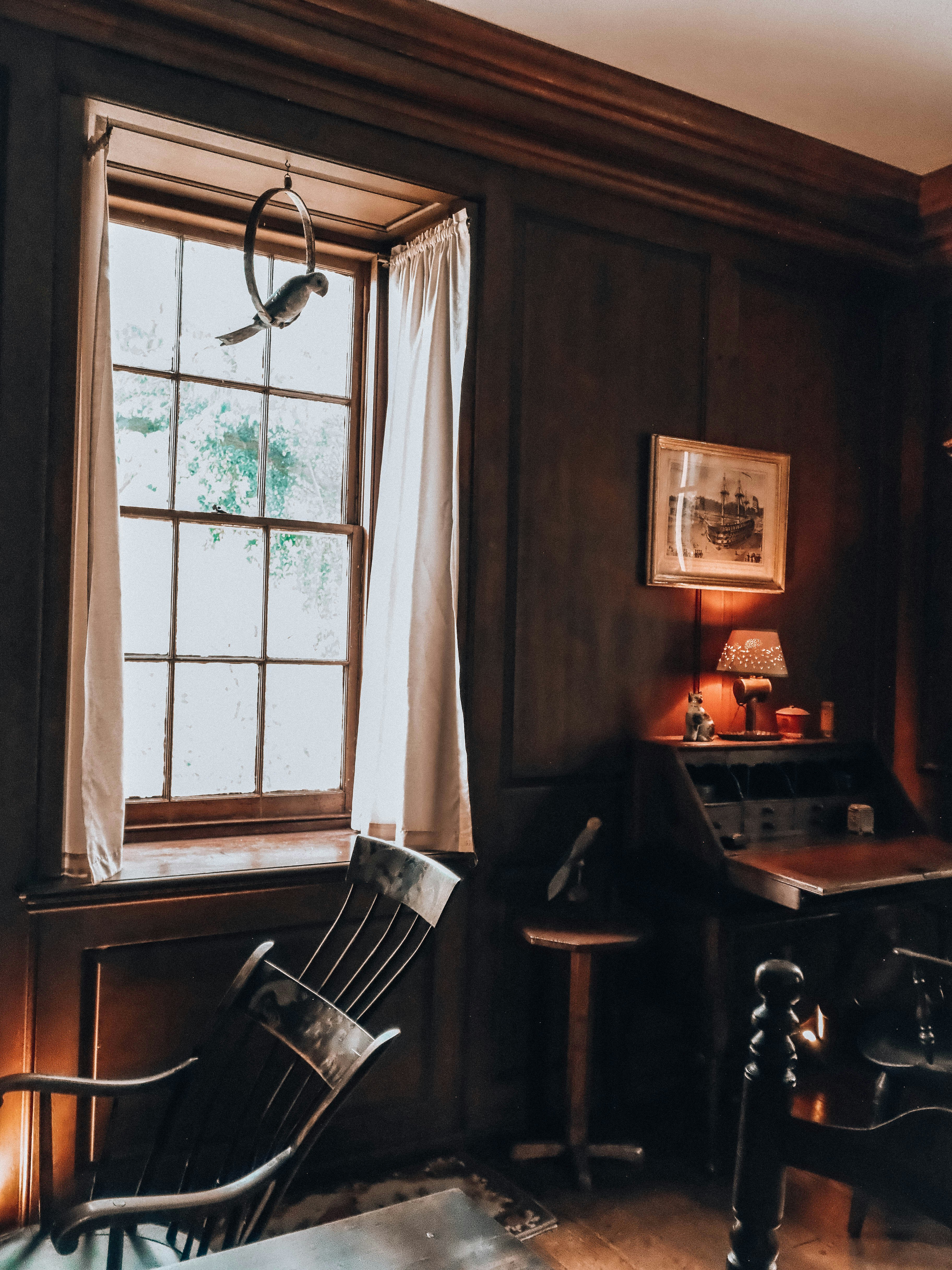 Photo by magicunsplash