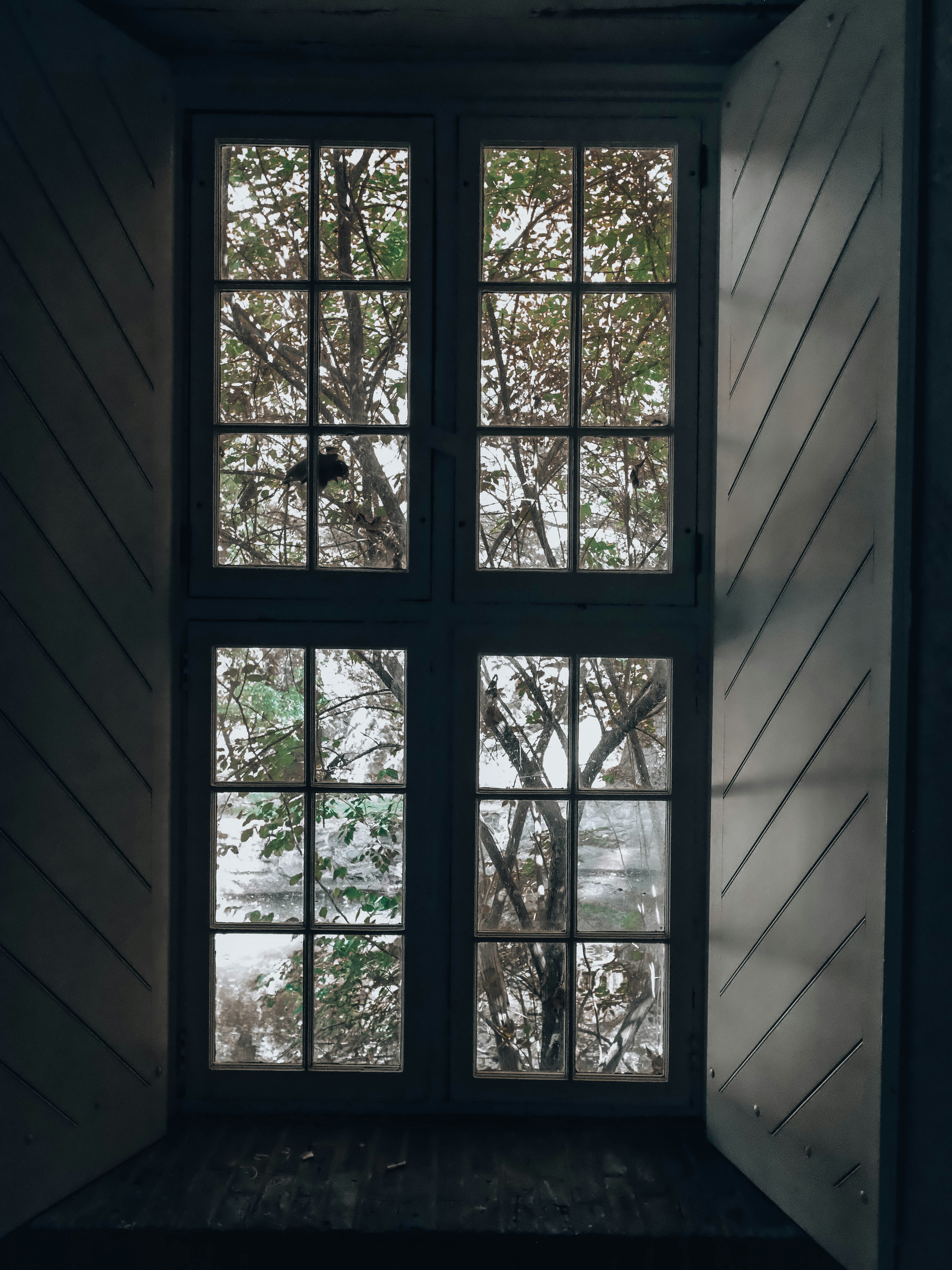 Photo by magicunsplash