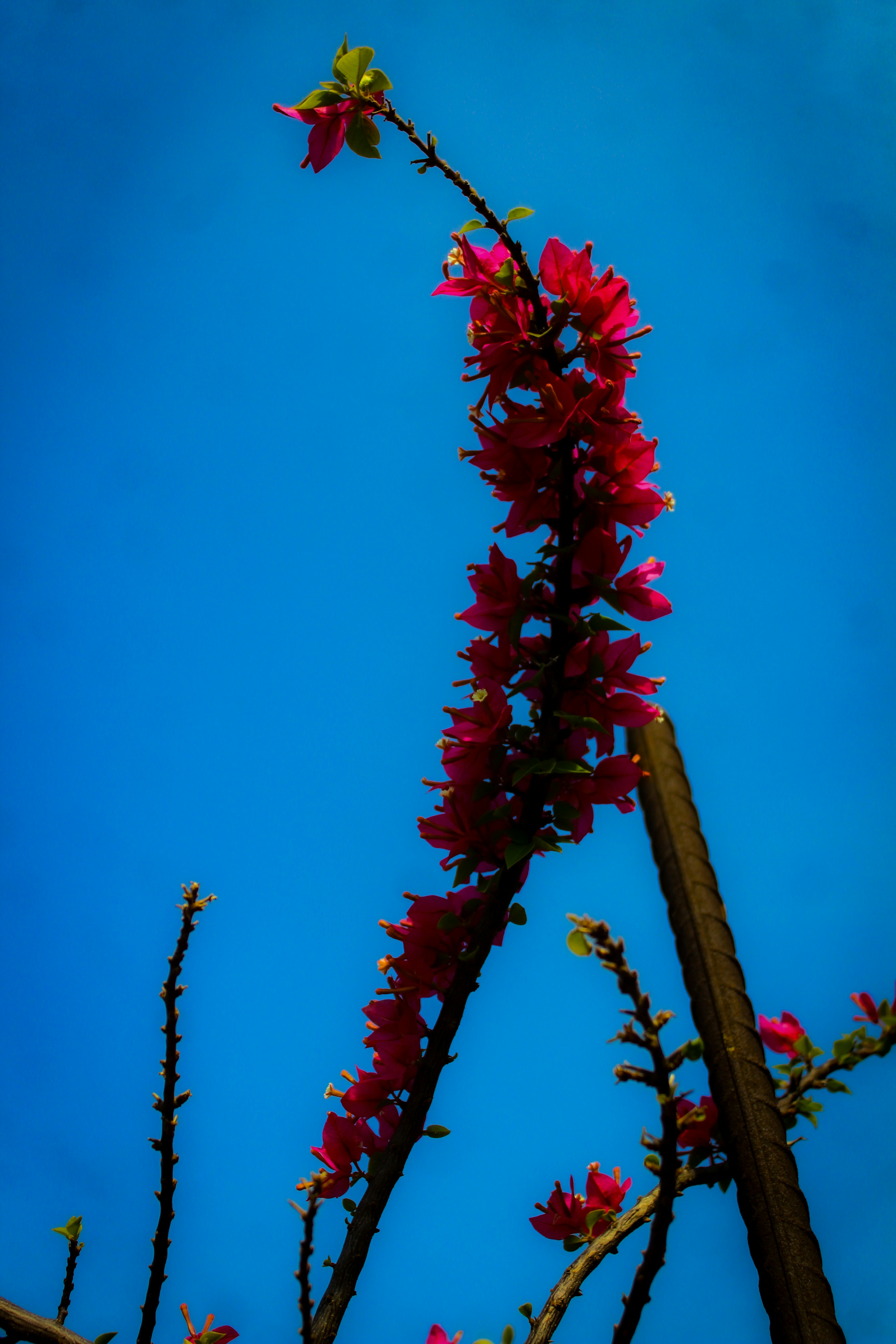 Photo by mrcato