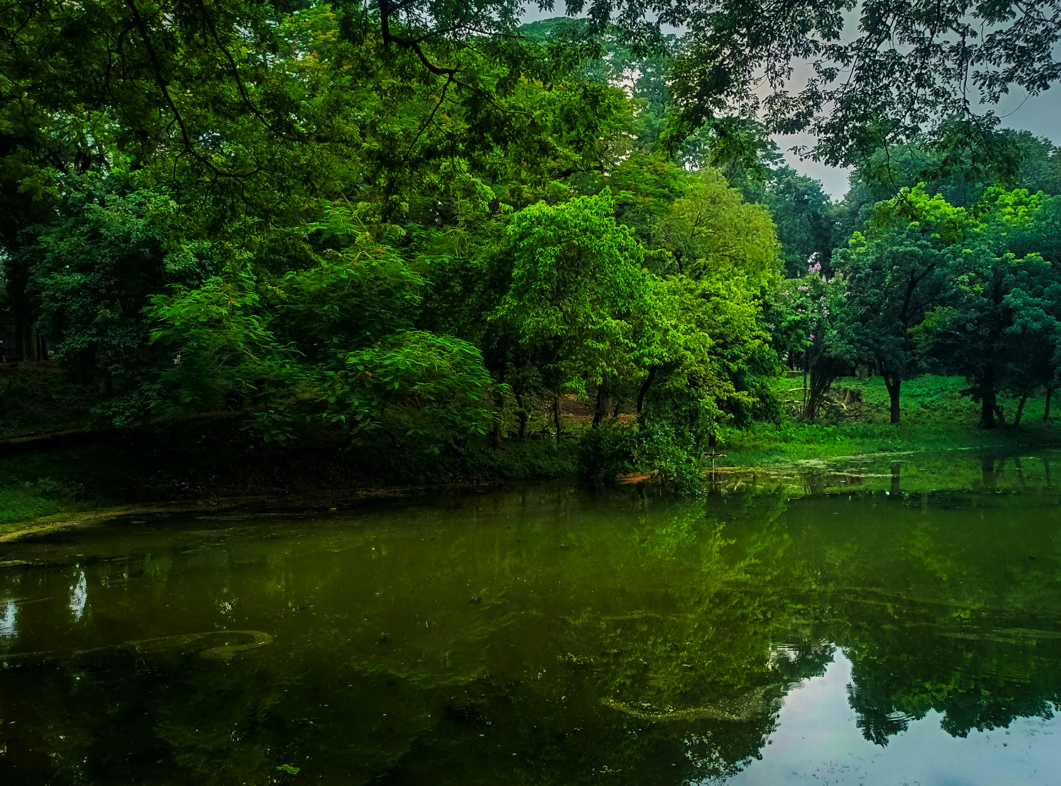 Photo by mrcato