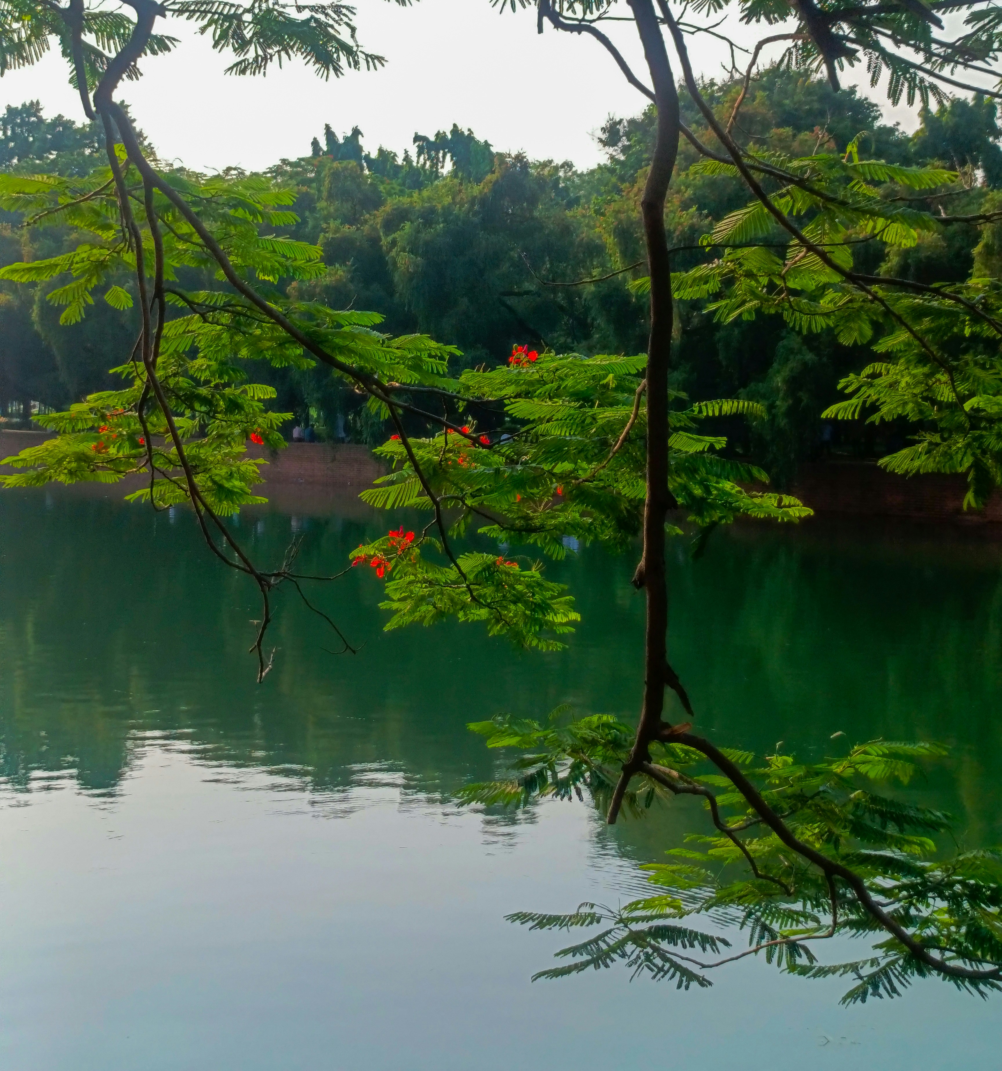 Photo by mrcato