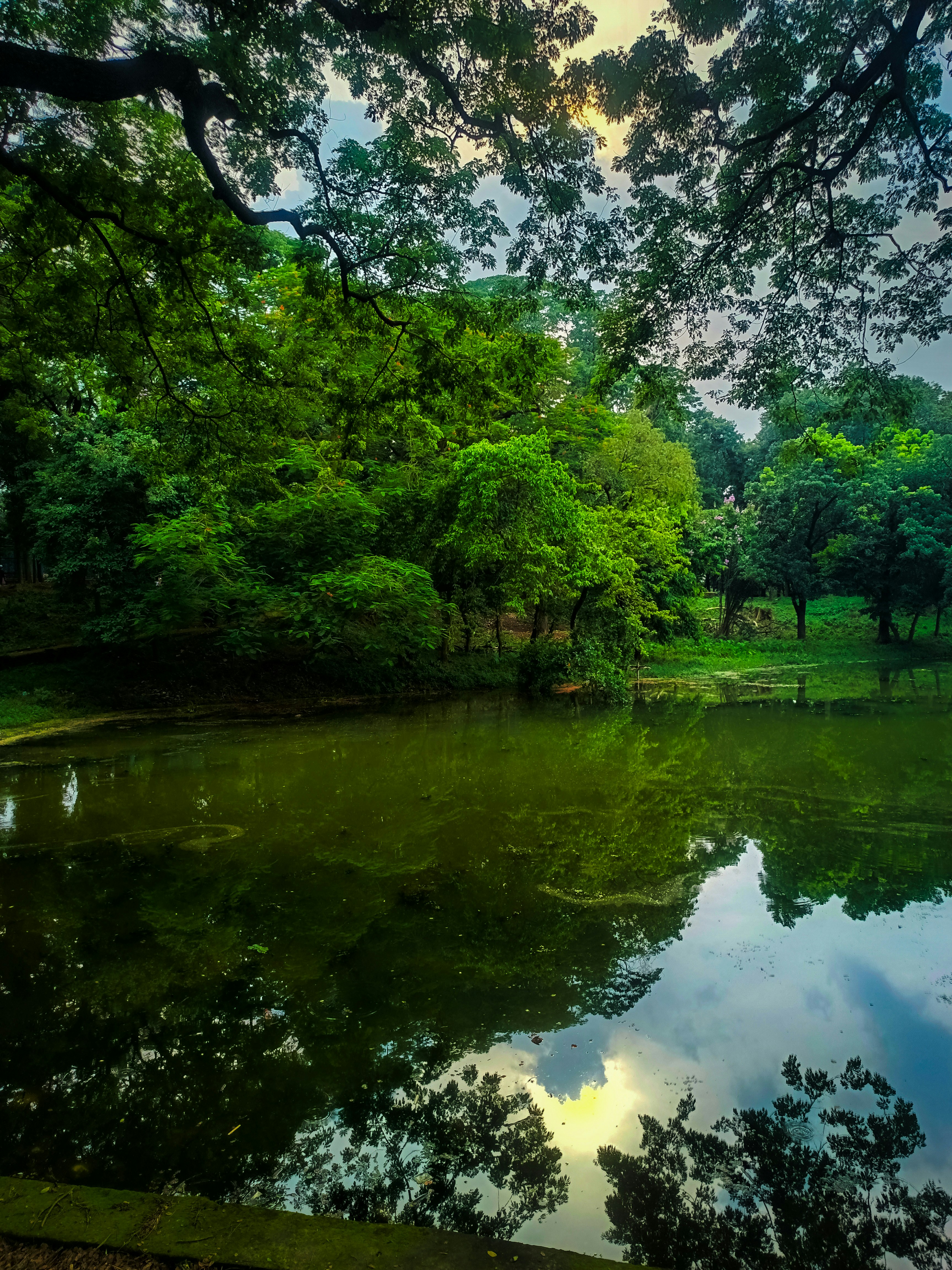 Photo by mrcato