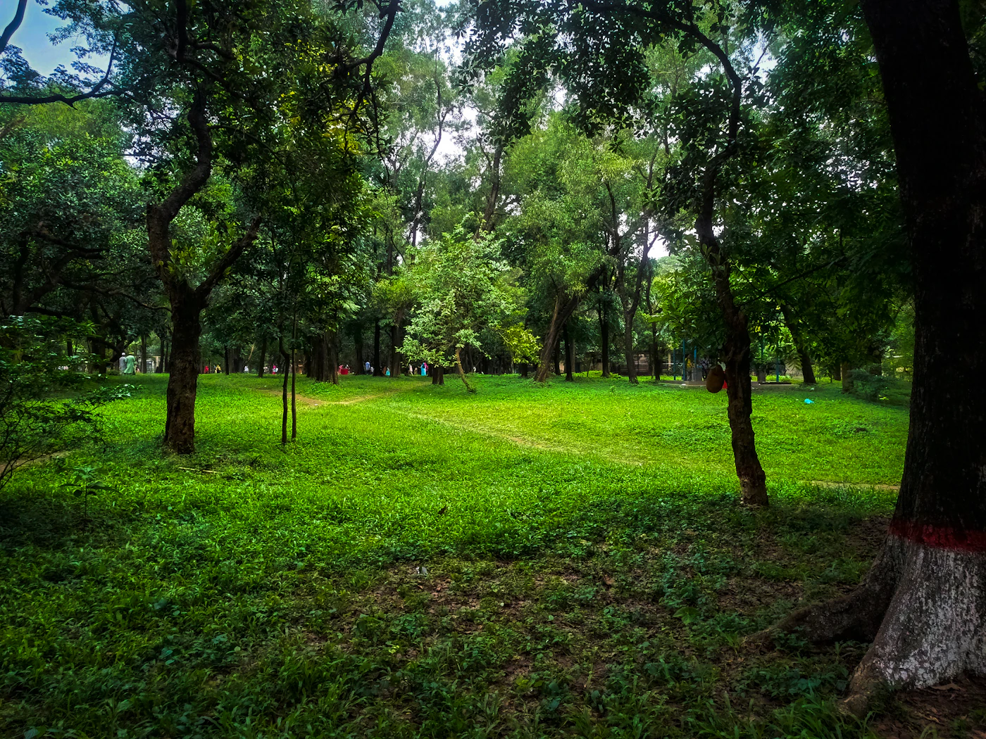 Kannur