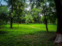 Best Free Things to Do in Kannur That Cost Absolutely Nothing