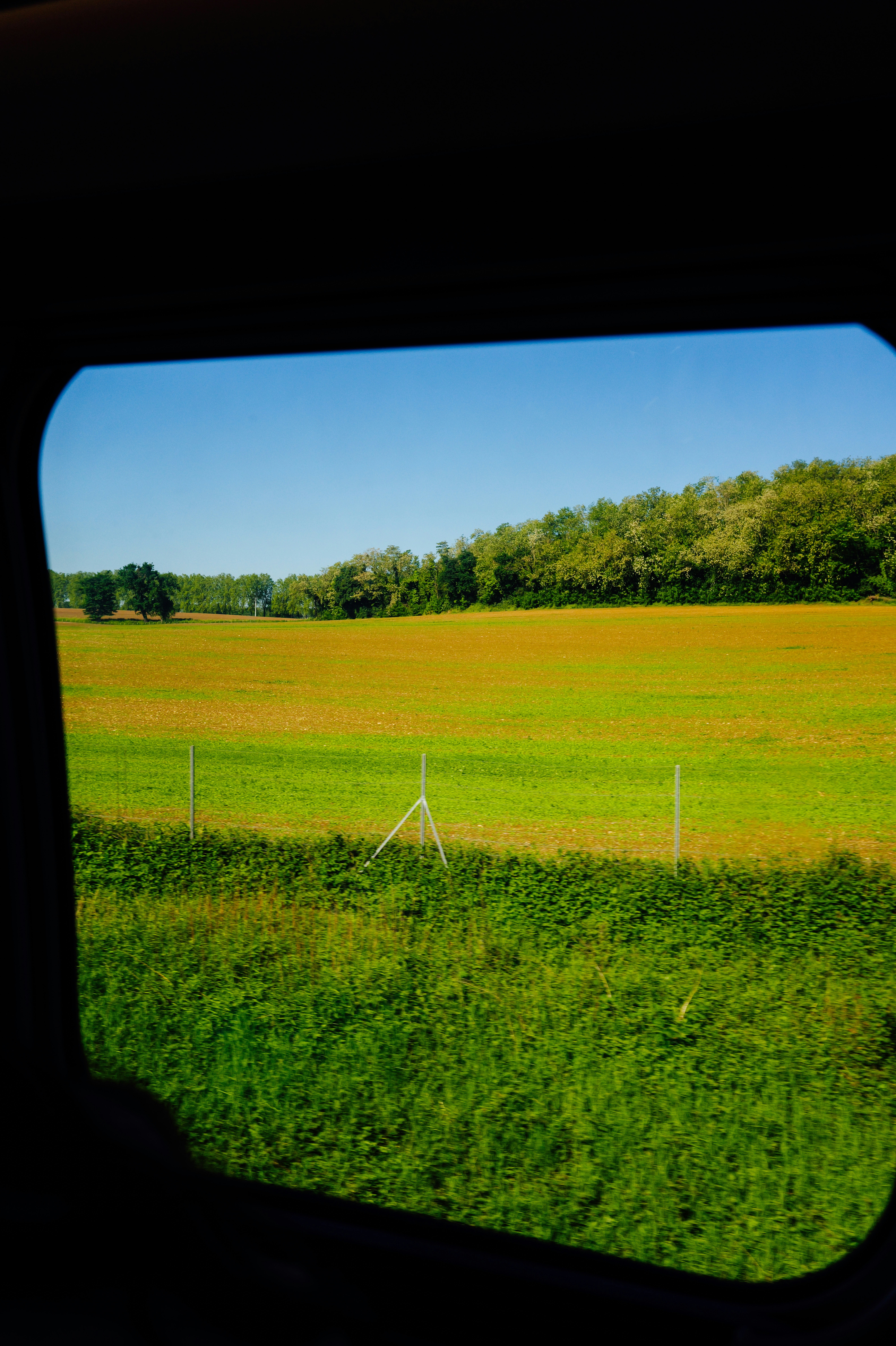 Expansive green and yellow fields under a clear blue sky.