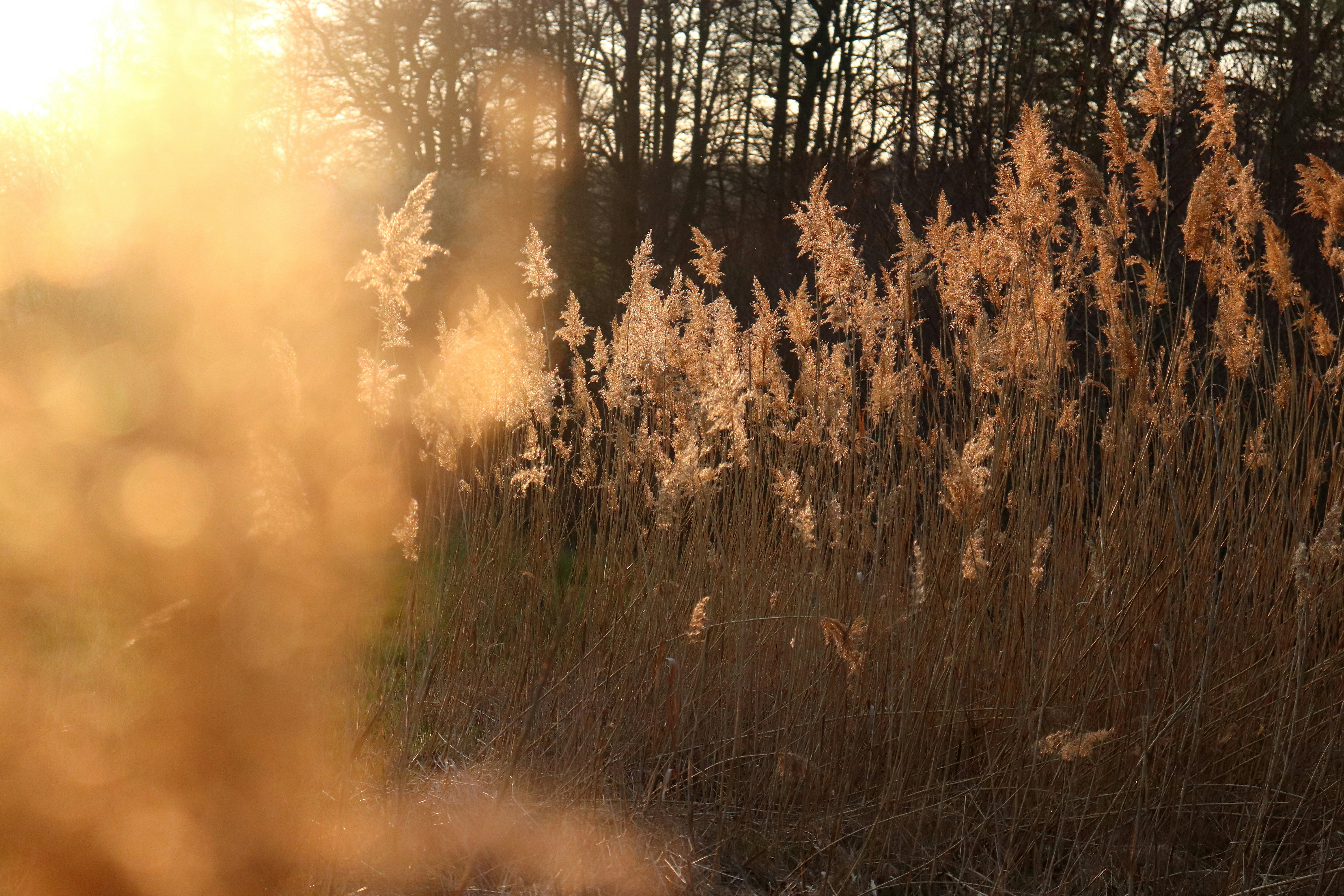 Photo by fotokomplizin