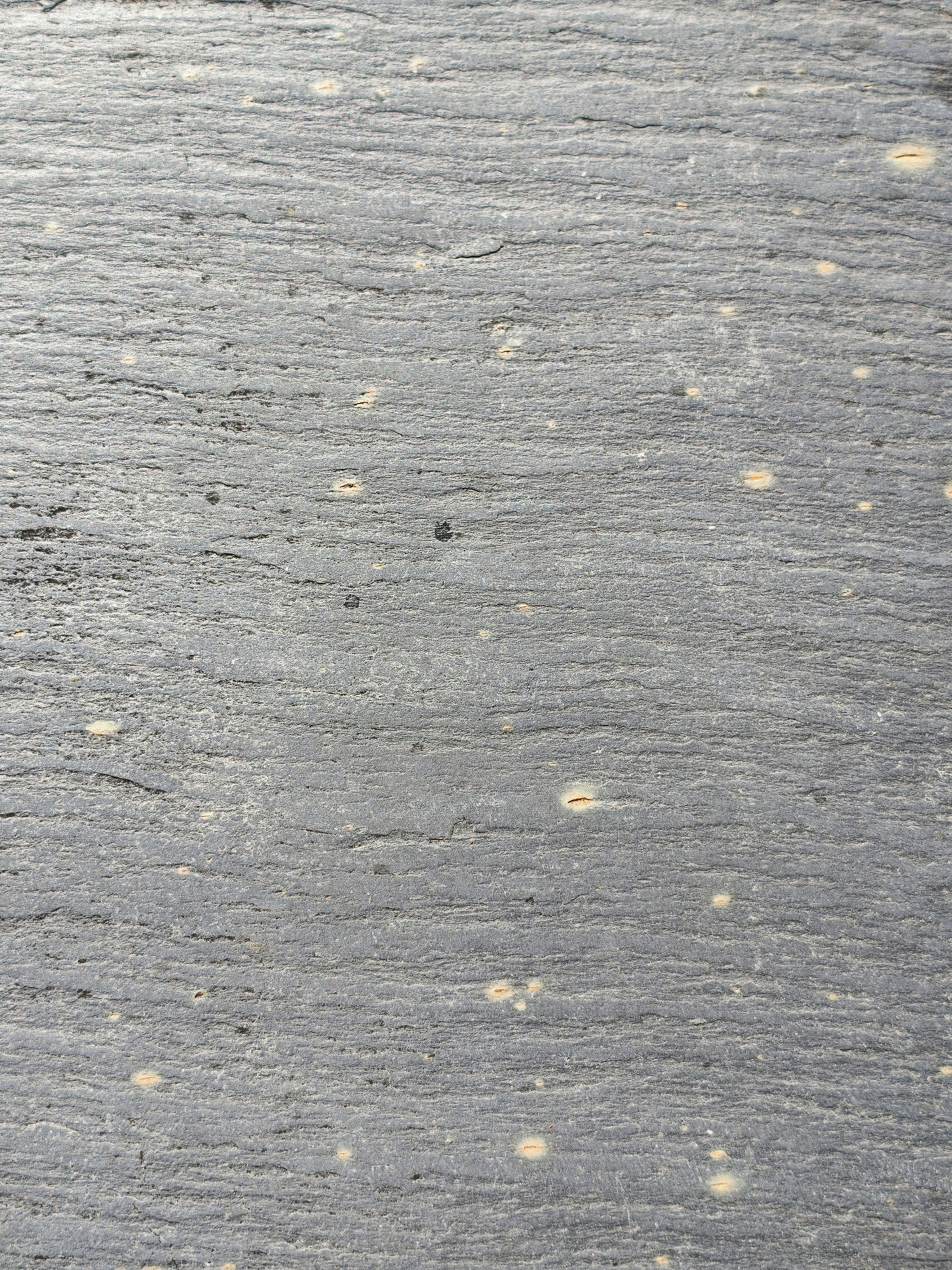 A grey textured surface with light circular spots.