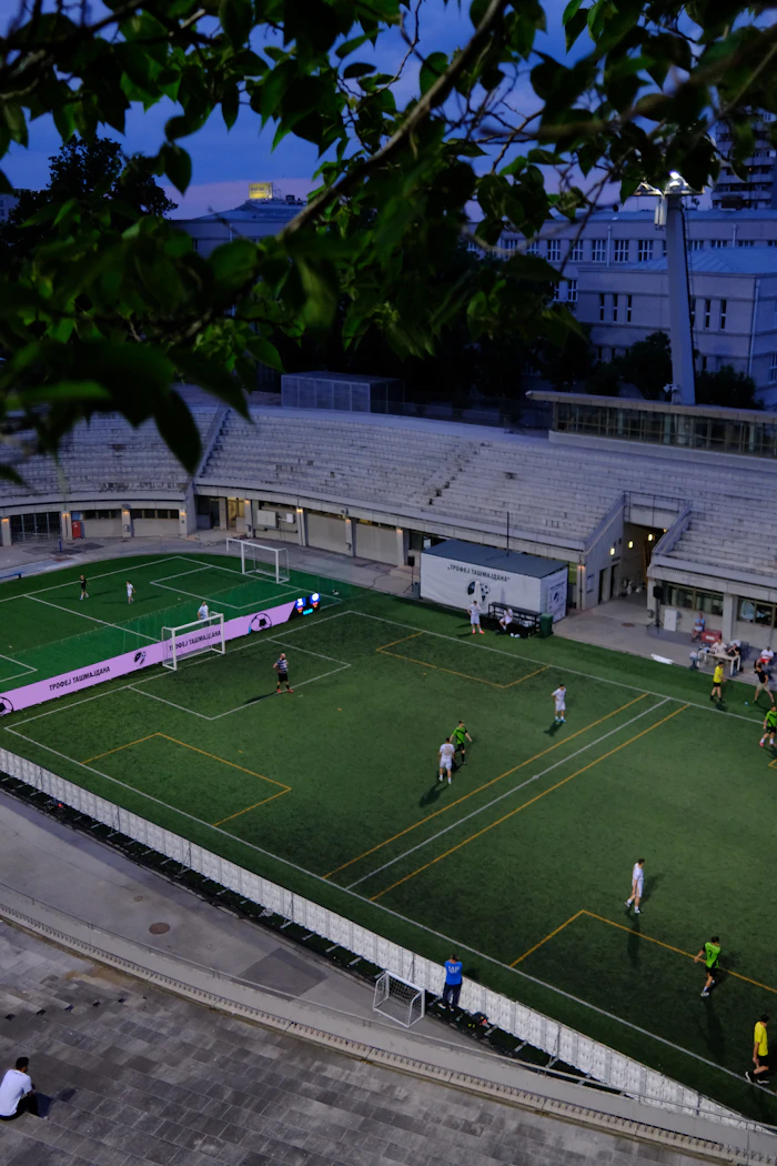 Team at the stadium