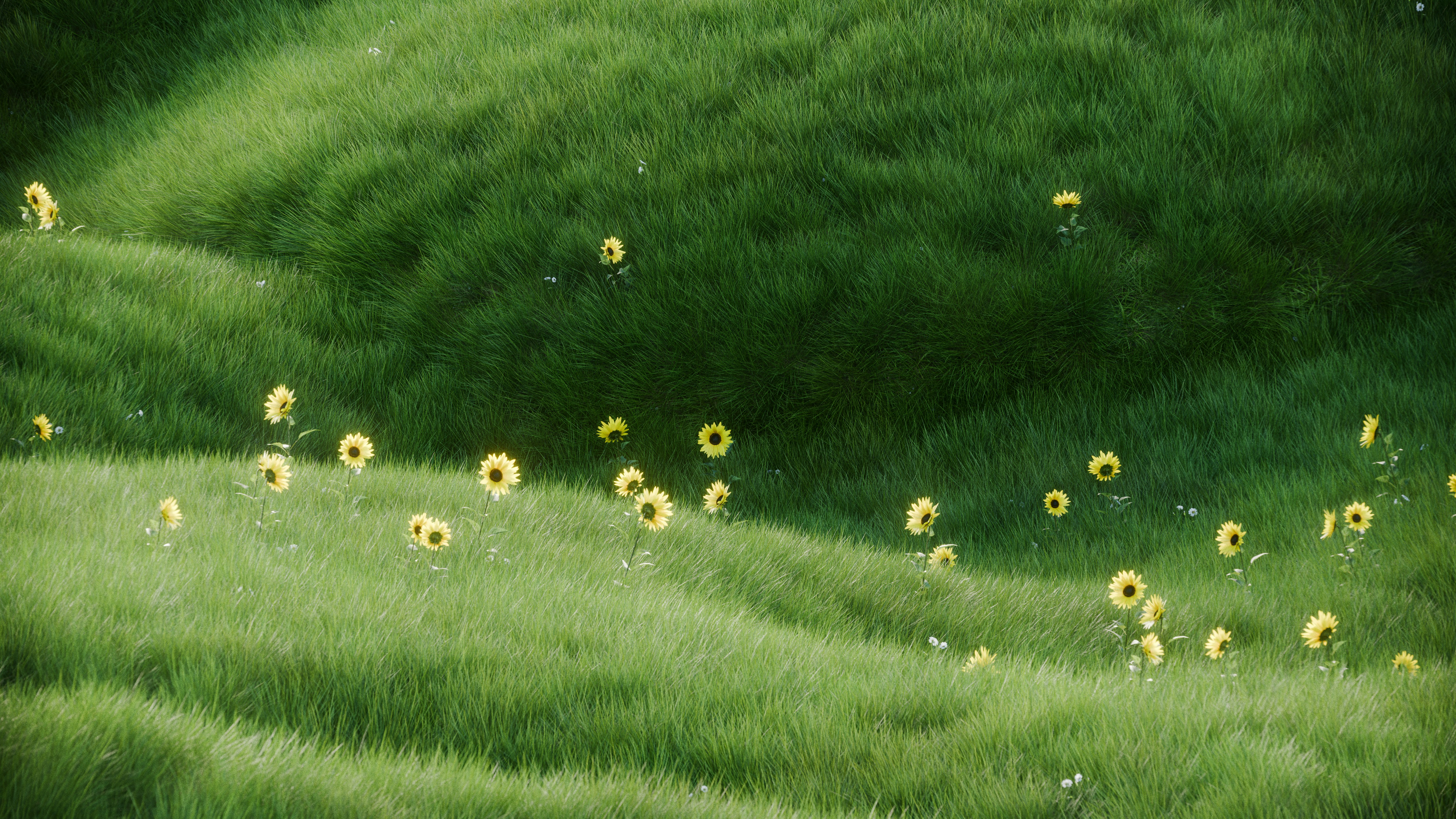 Green grassy hill with scattered yellow flowers.