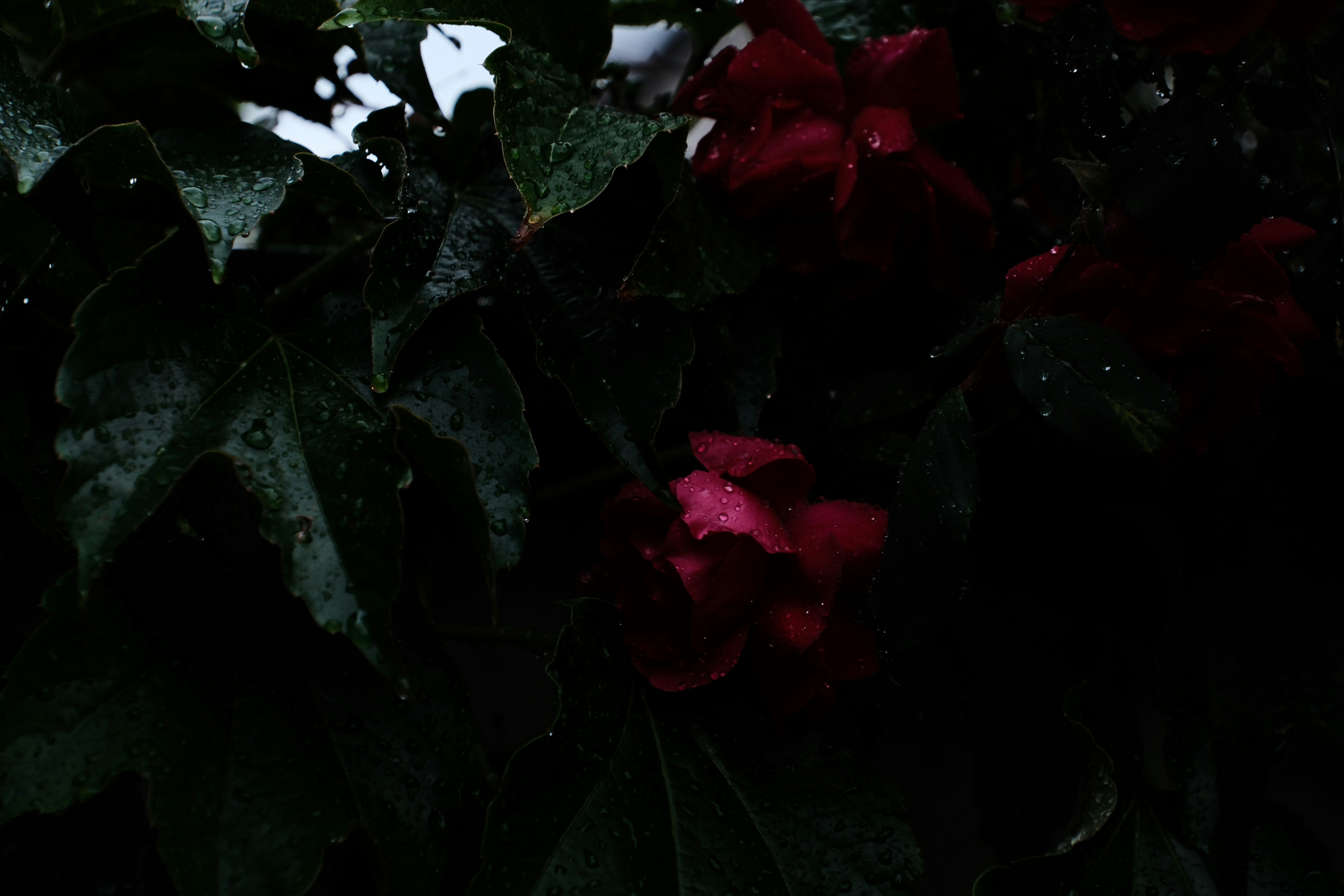 Photo by aml27lw