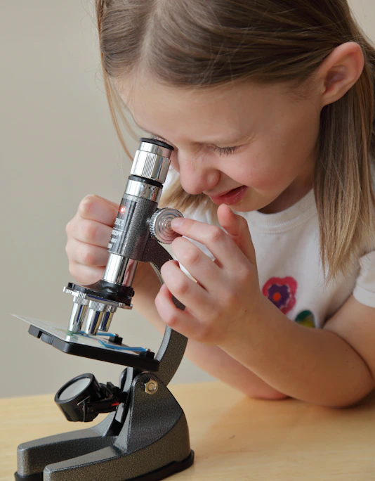A young girl looks into a microscope, adjusting the focus.