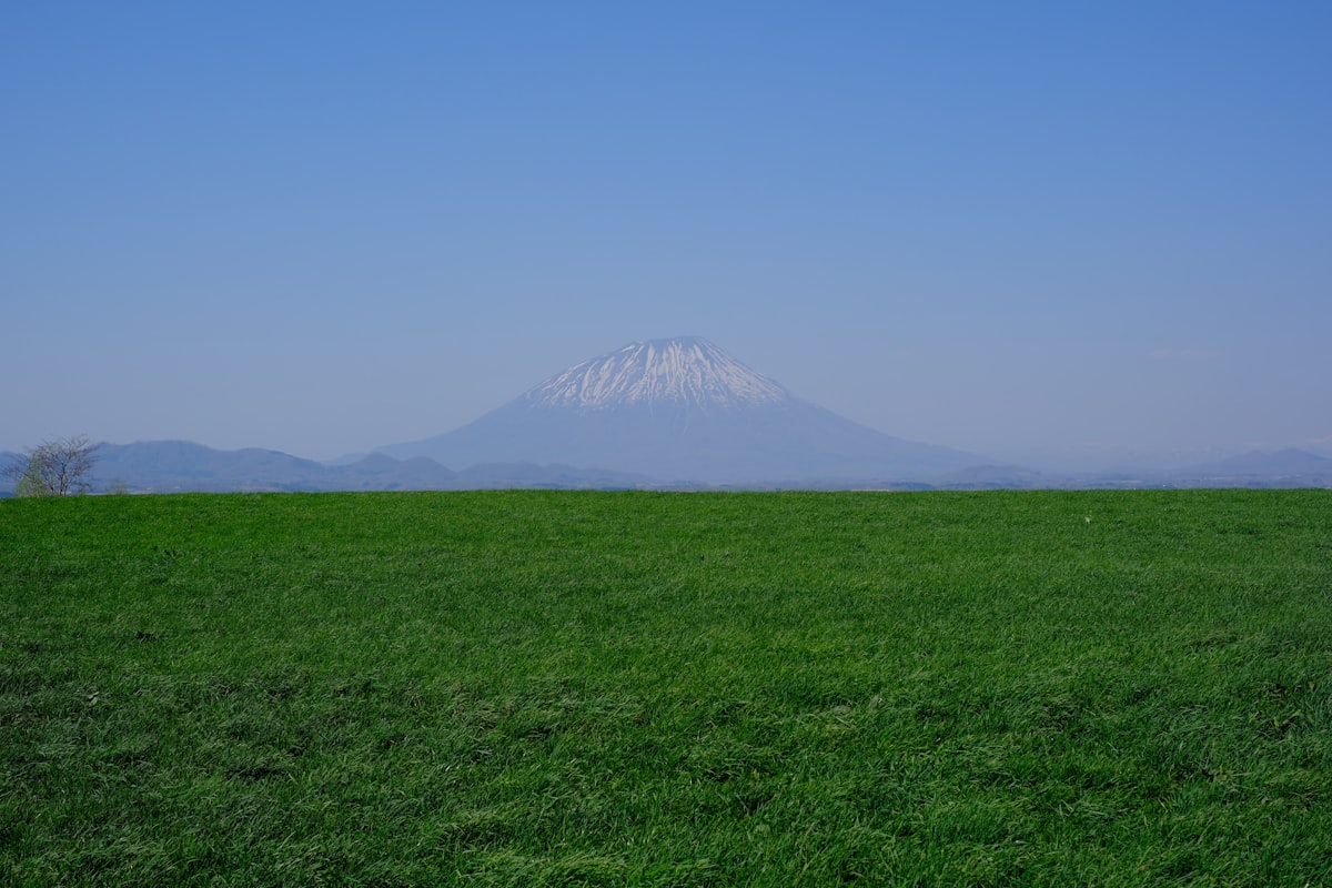 北海道羊蹄山と緑の草原