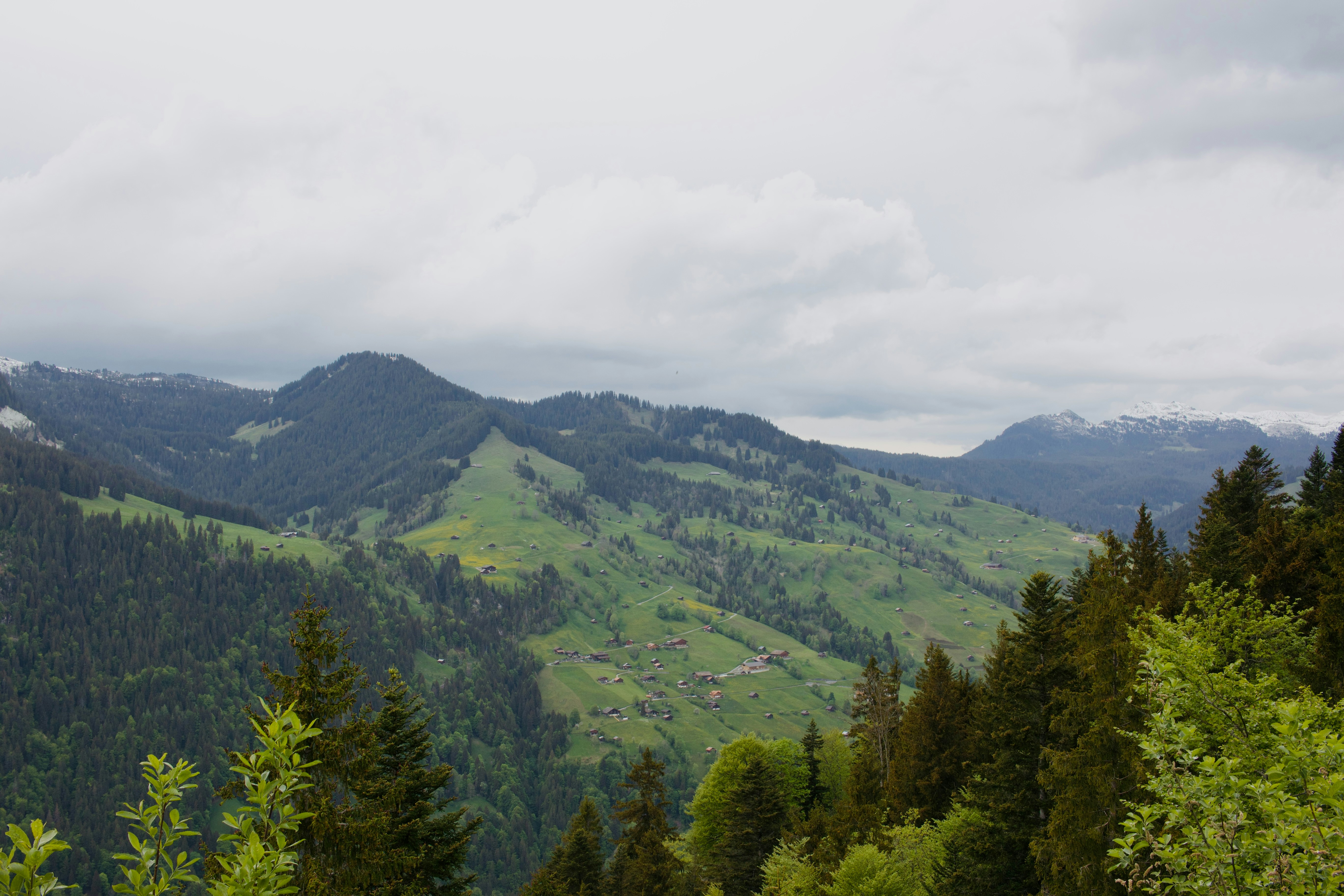 Photo by williamdmytrow