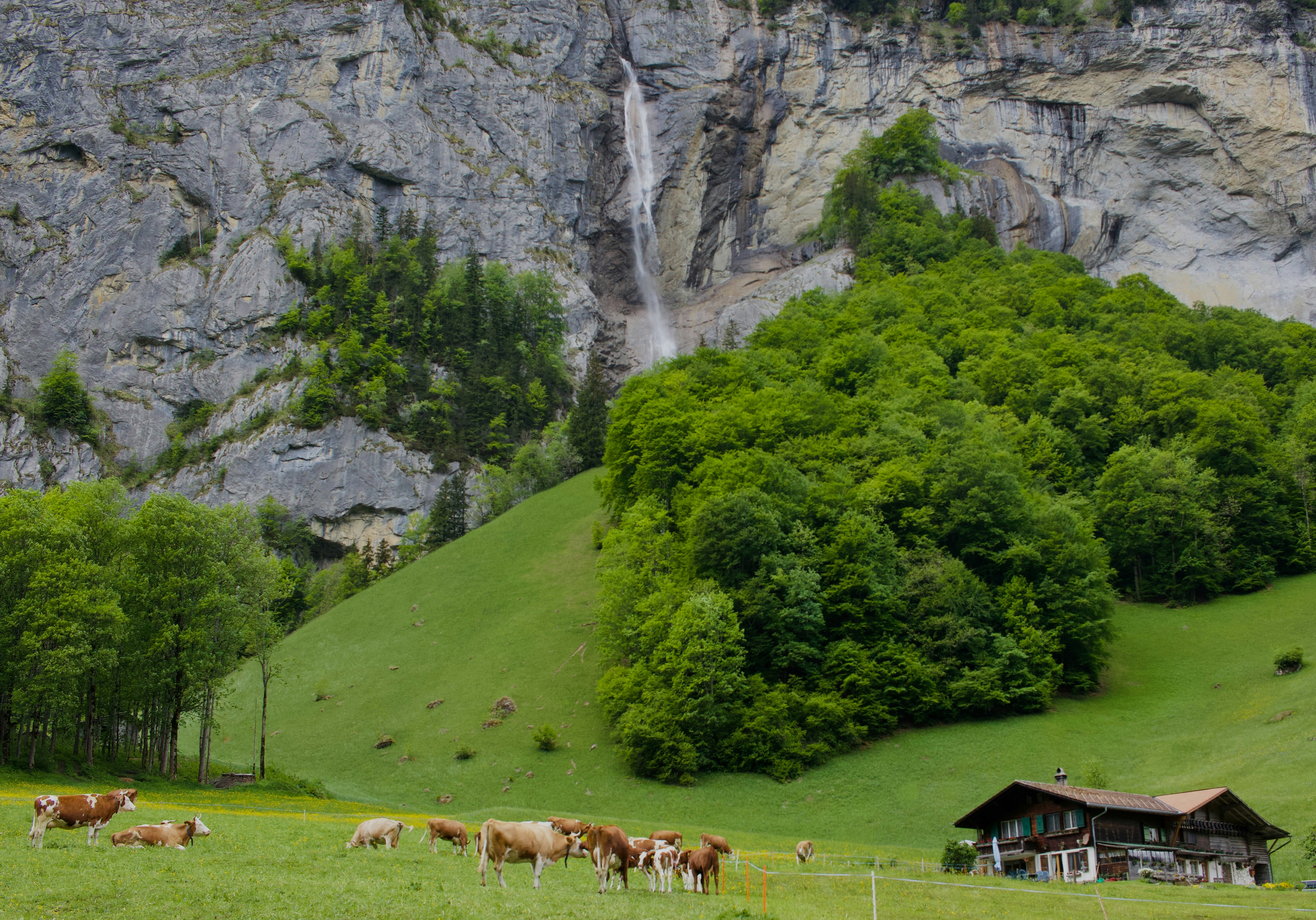 Photo by williamdmytrow