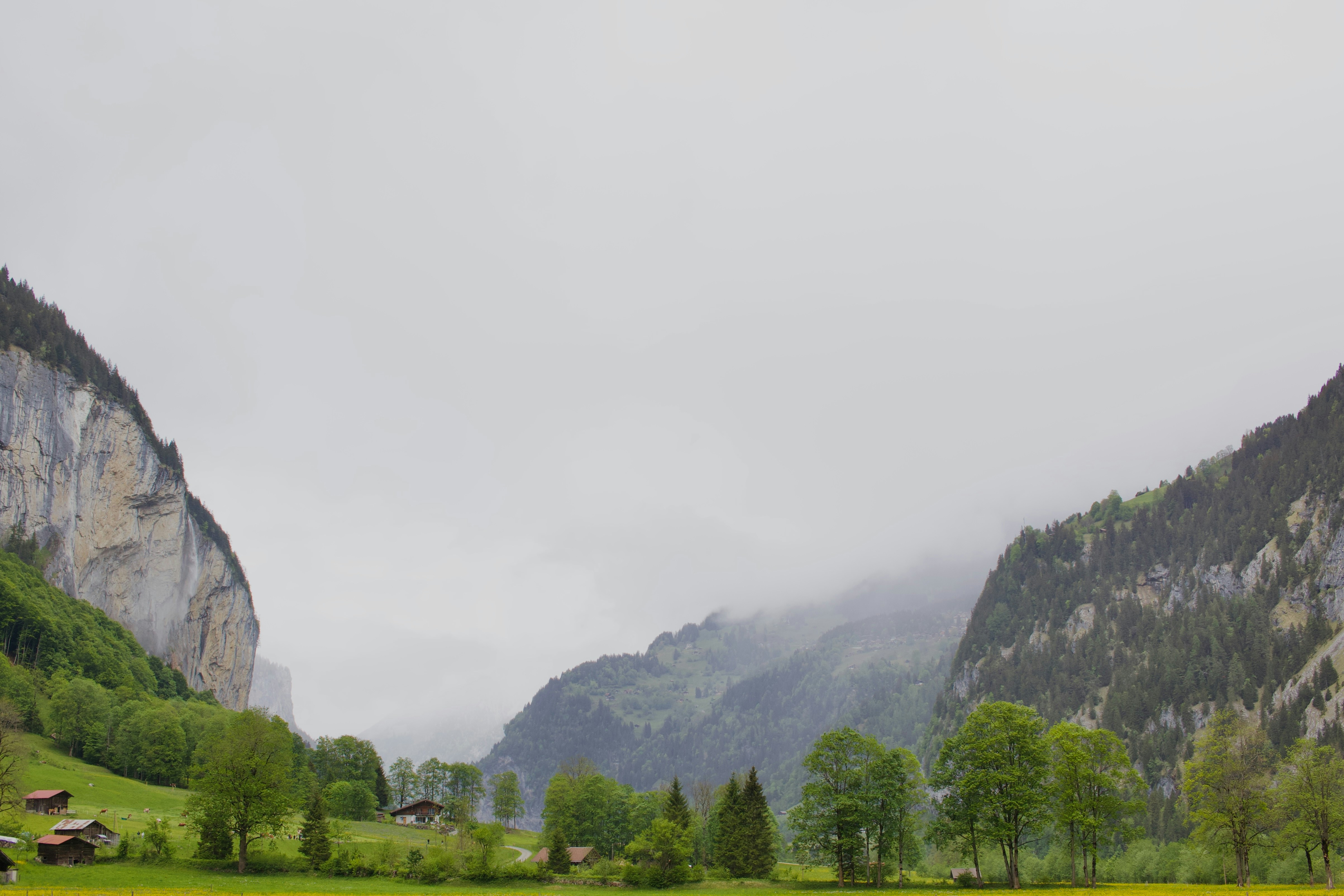 Photo by williamdmytrow