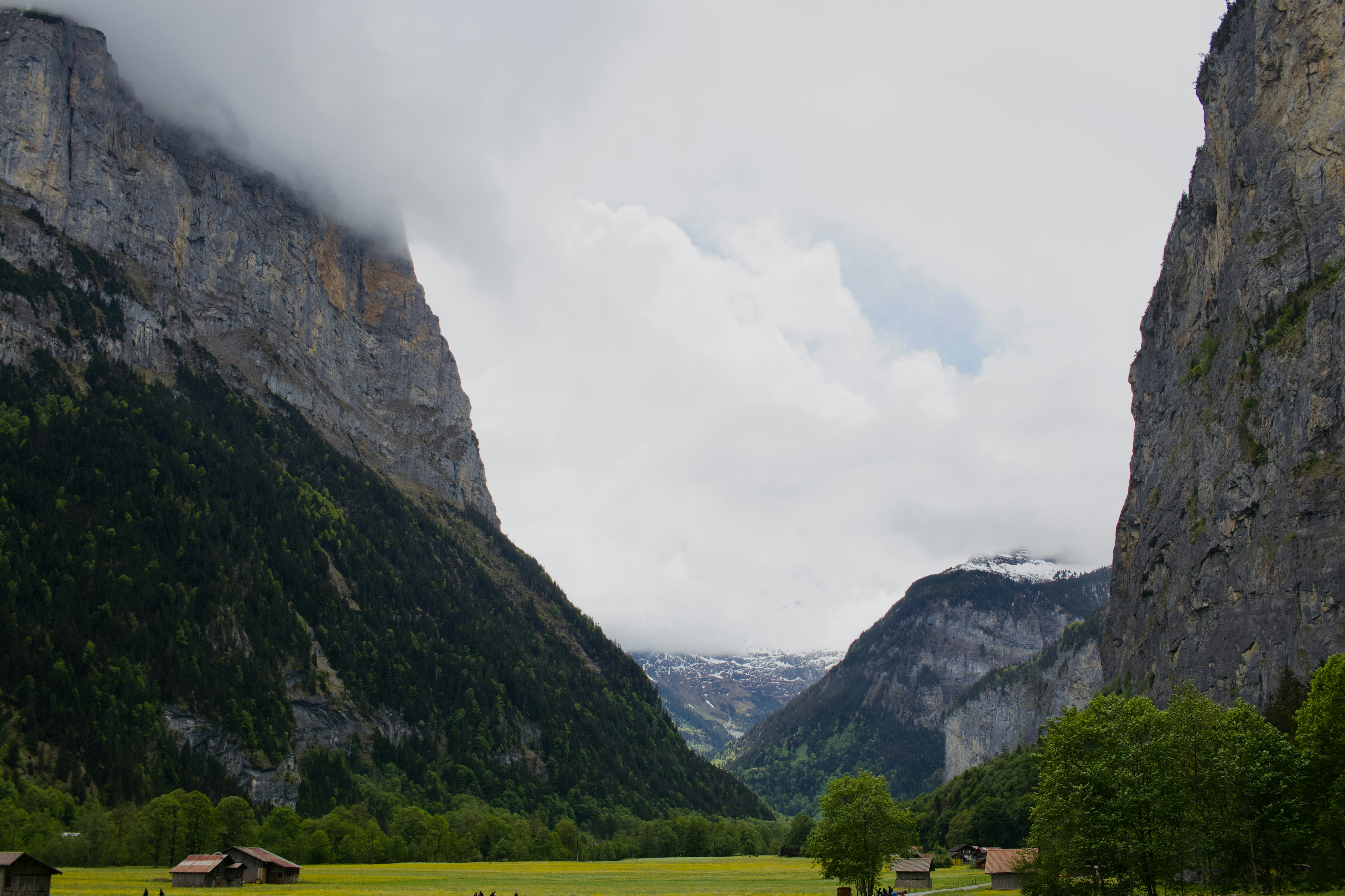Photo by williamdmytrow