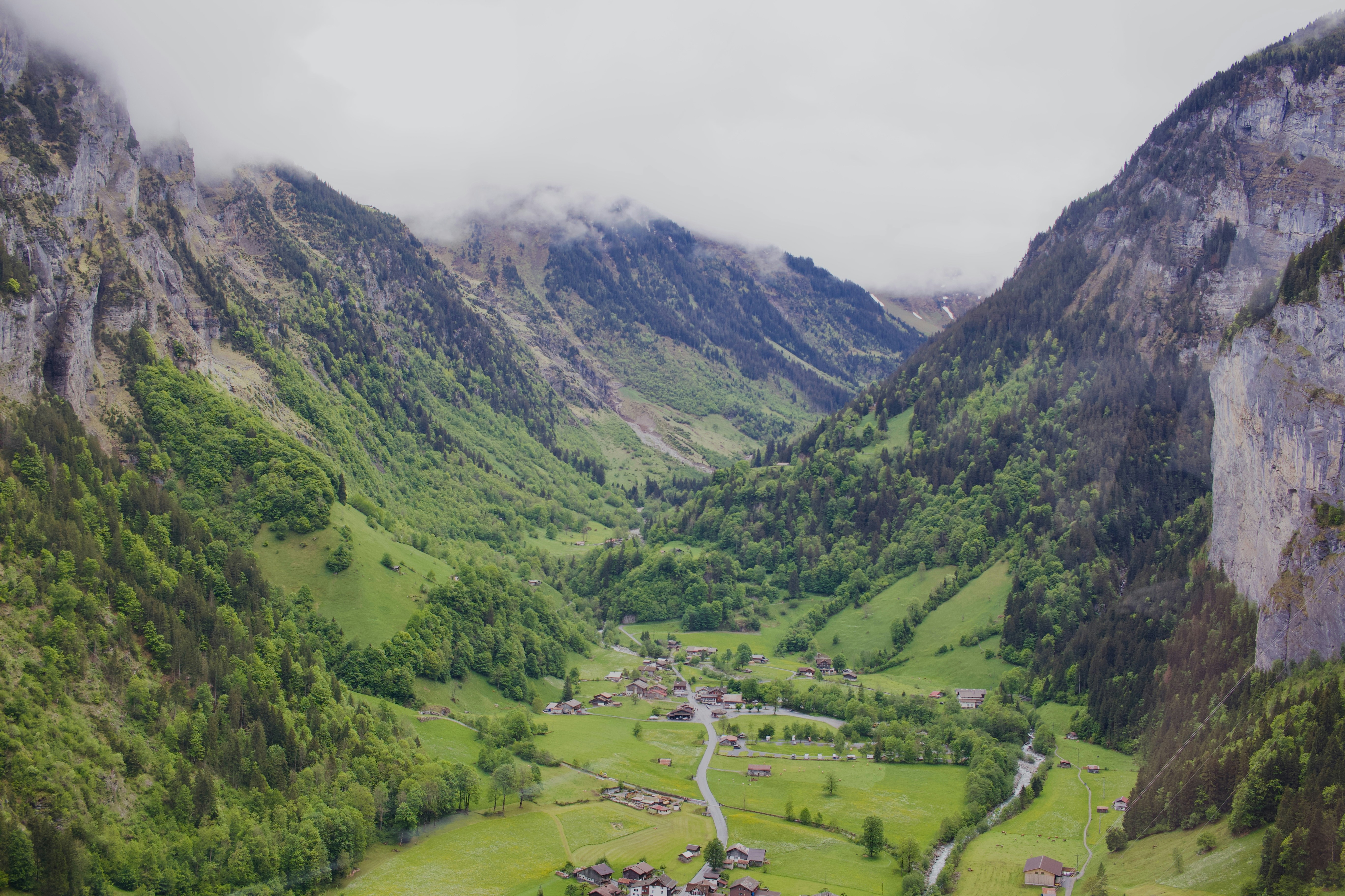 Photo by williamdmytrow