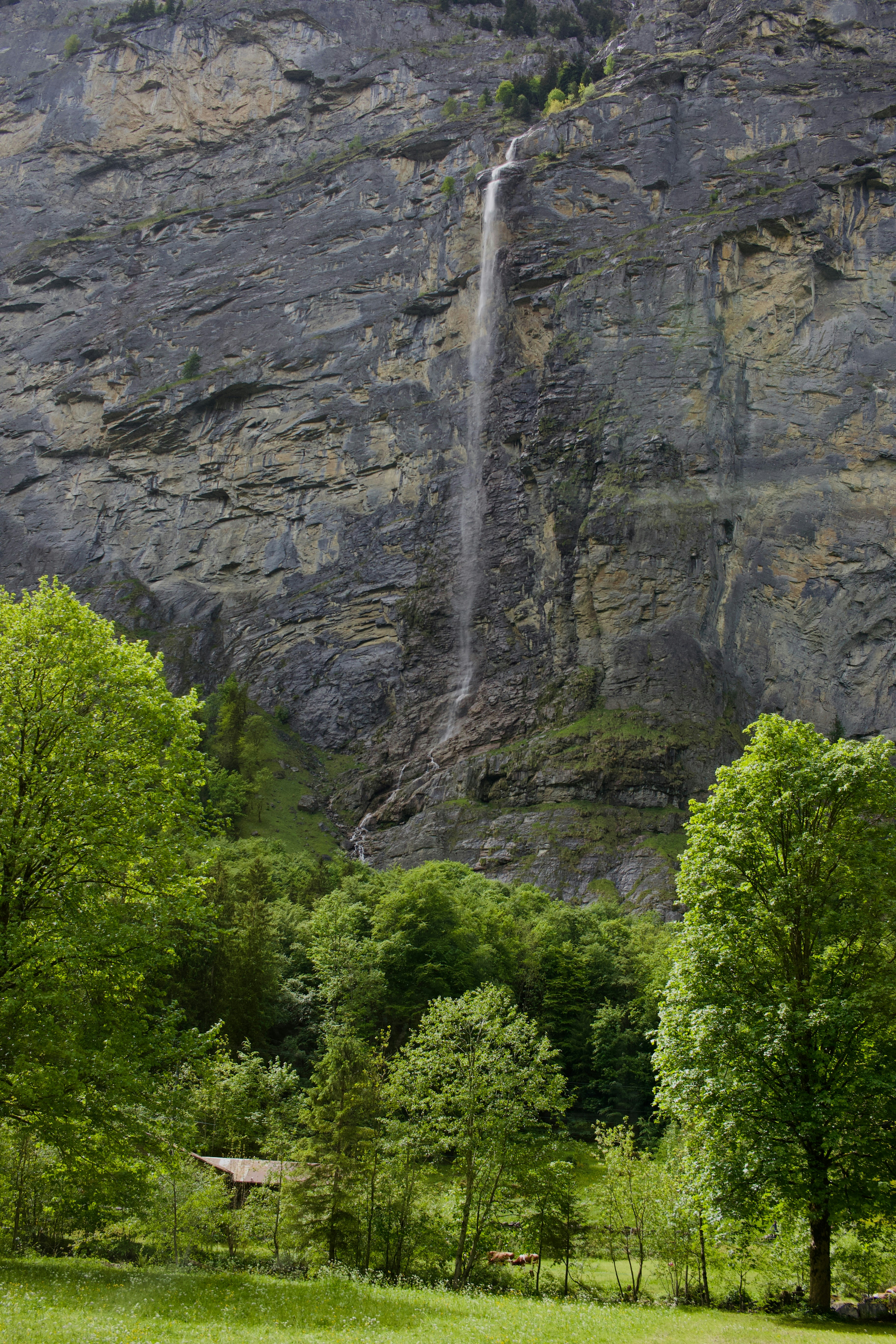 Waterfall plunging down a massive cliff amidst lush green trees.