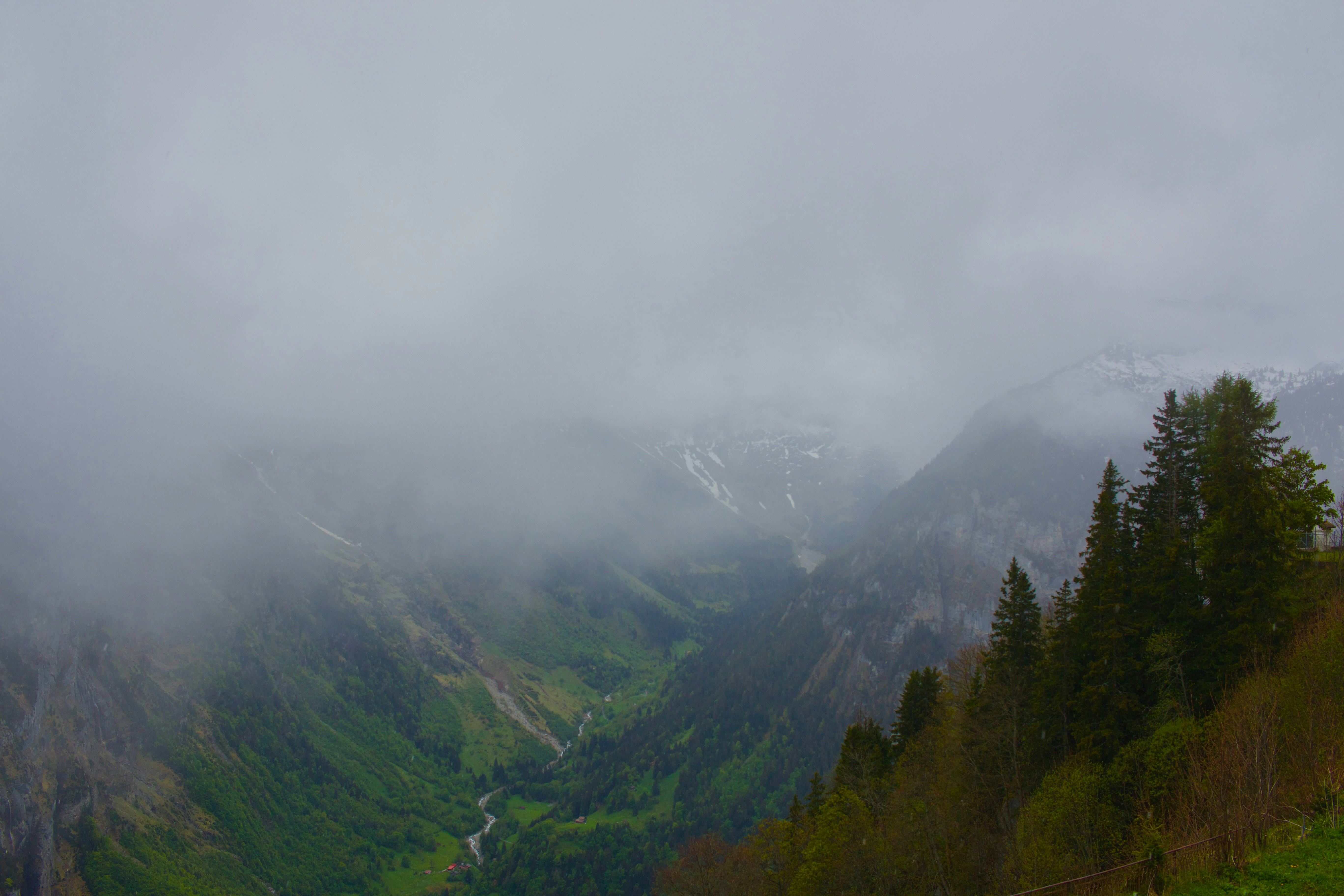 Photo by williamdmytrow