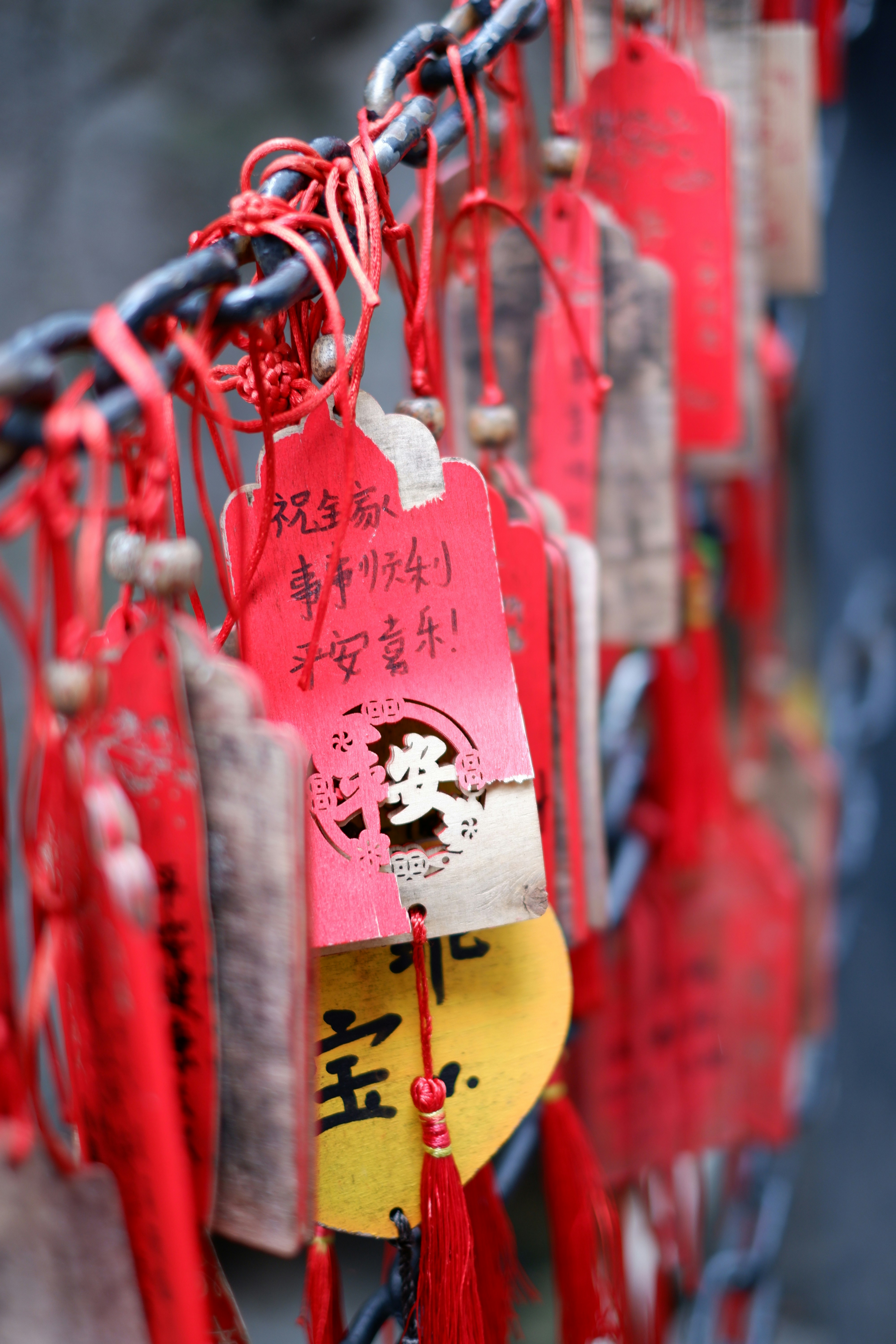 Photo by hoomanbeings
