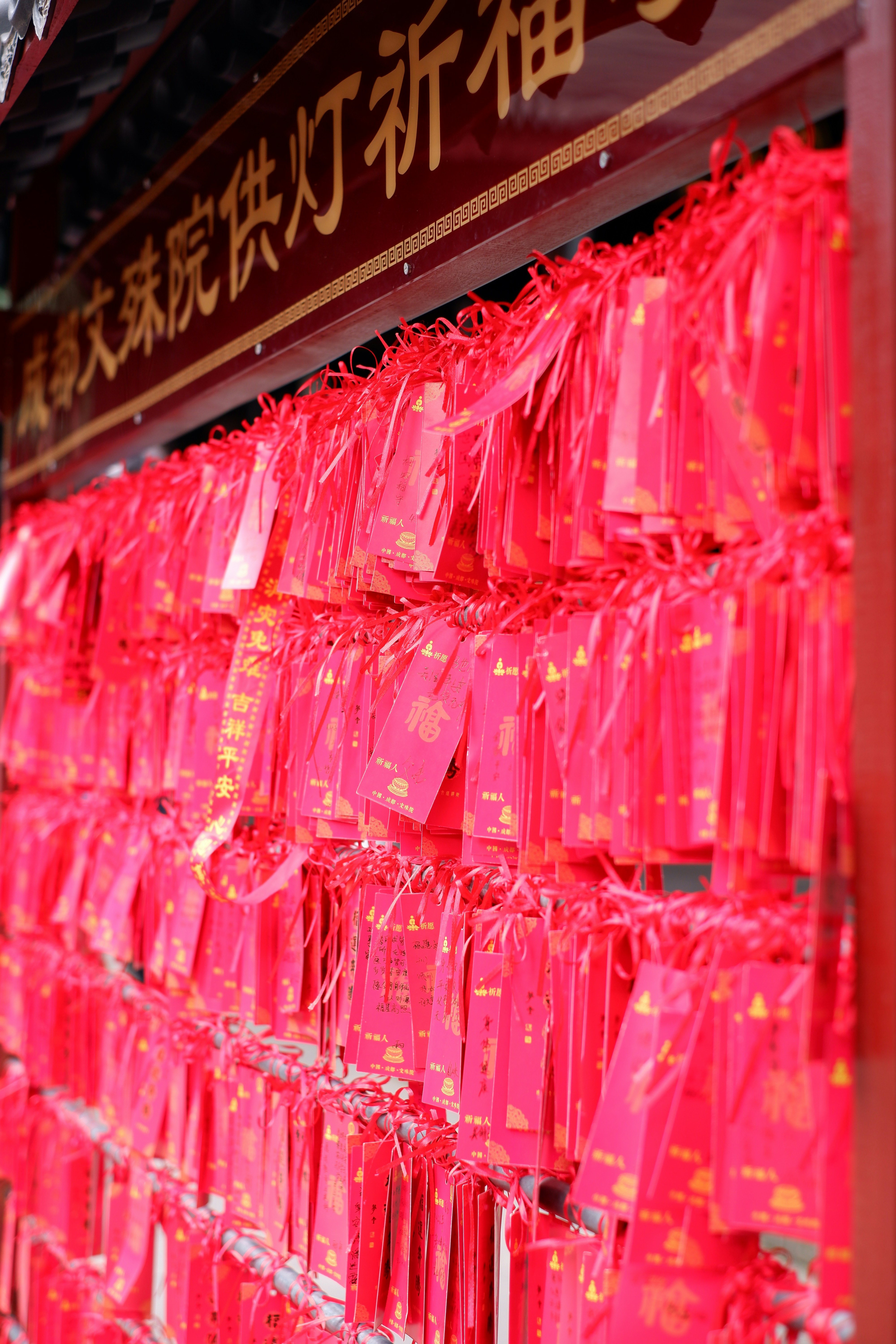 Photo by hoomanbeings