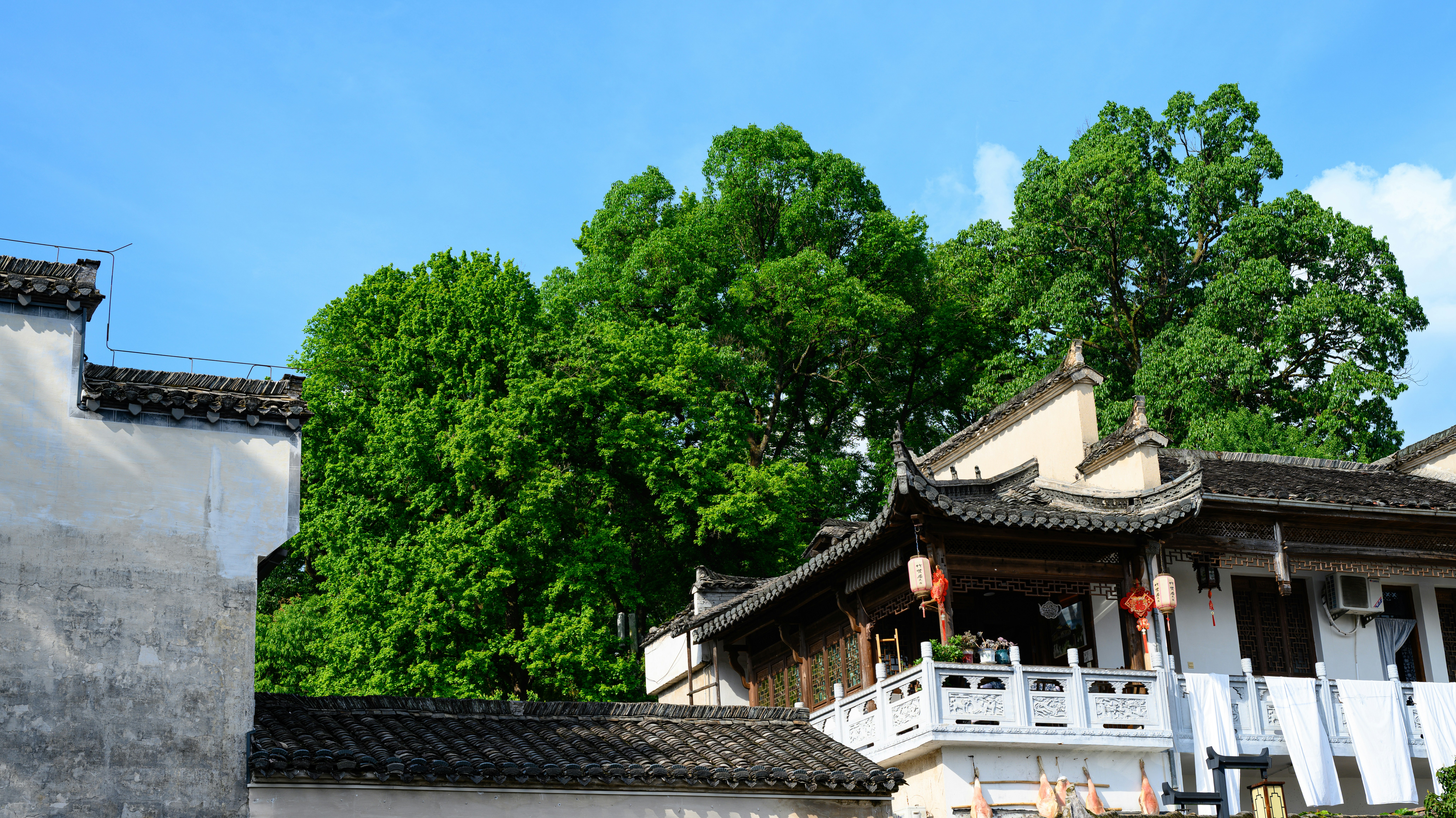 Photo by ganlei
