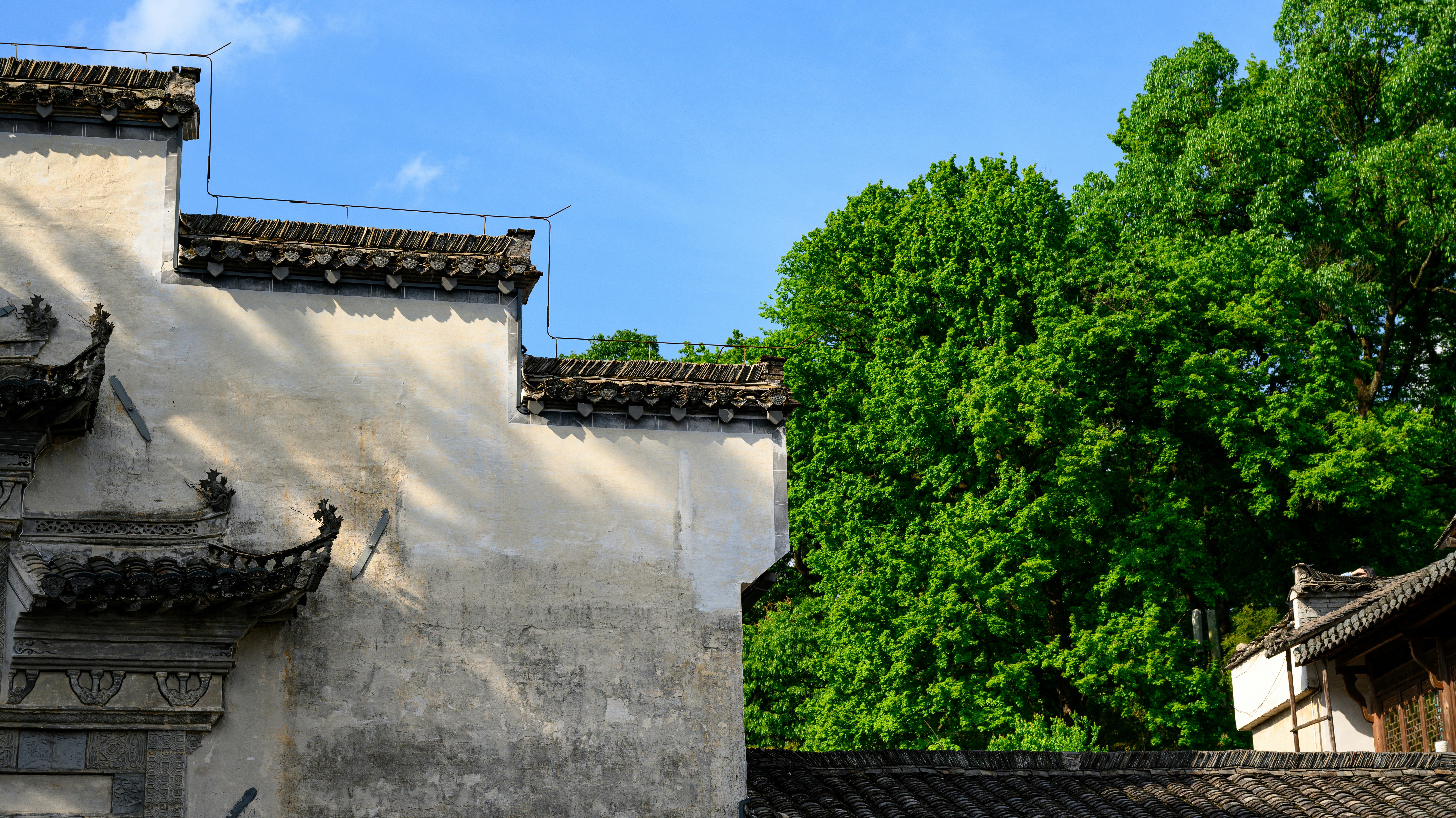 Photo by ganlei