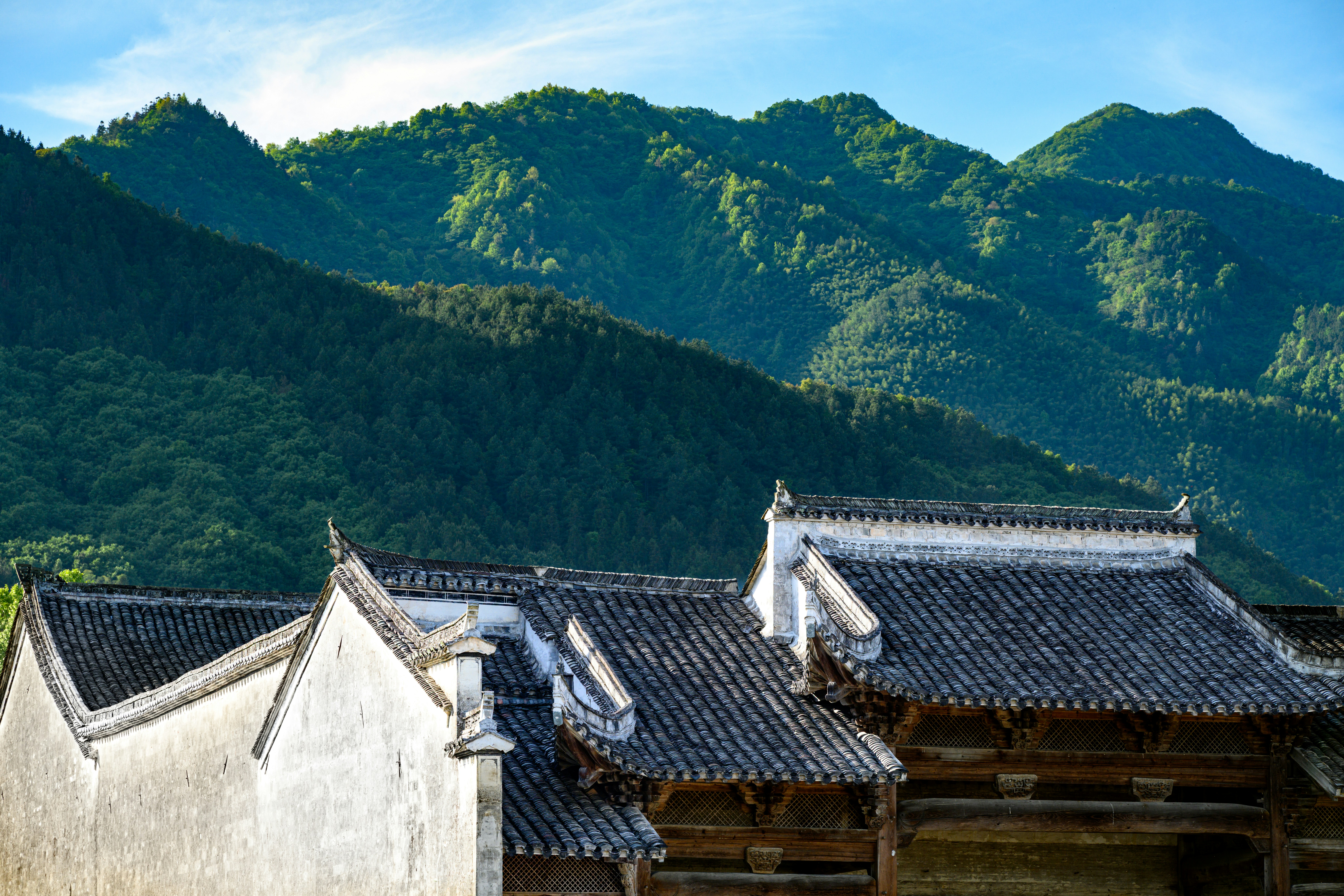 Photo by ganlei