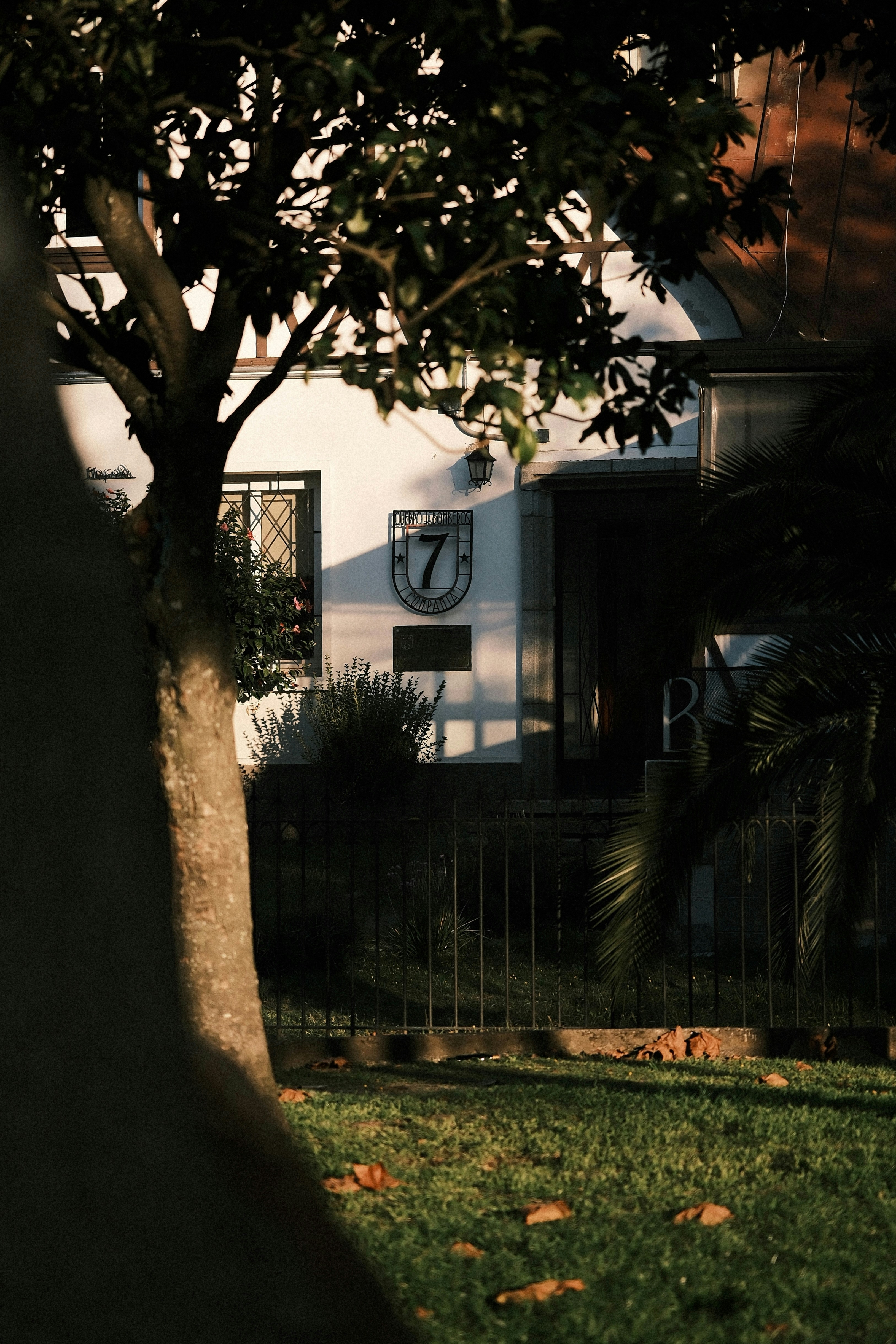 Photo by yaguer