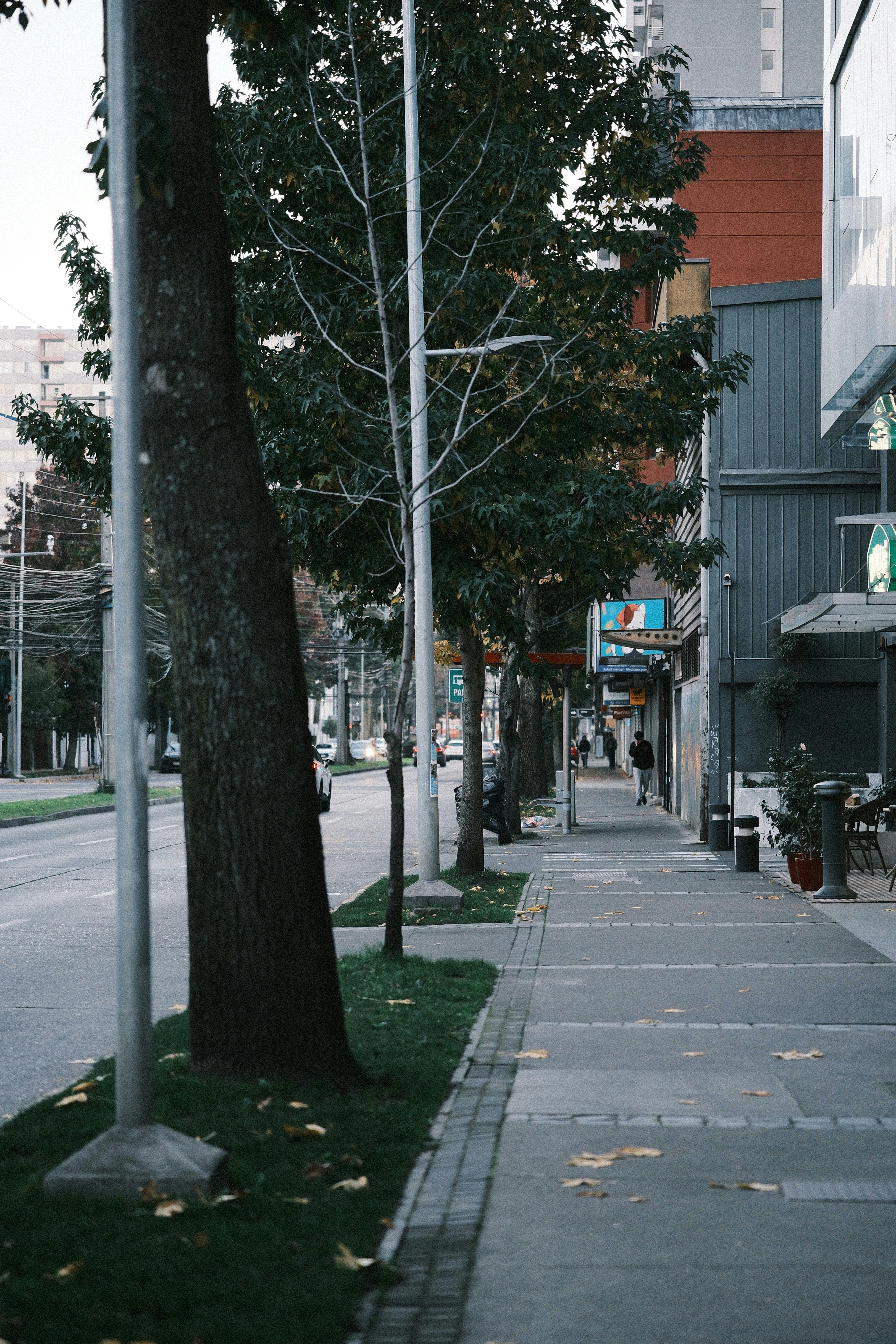 Photo by yaguer