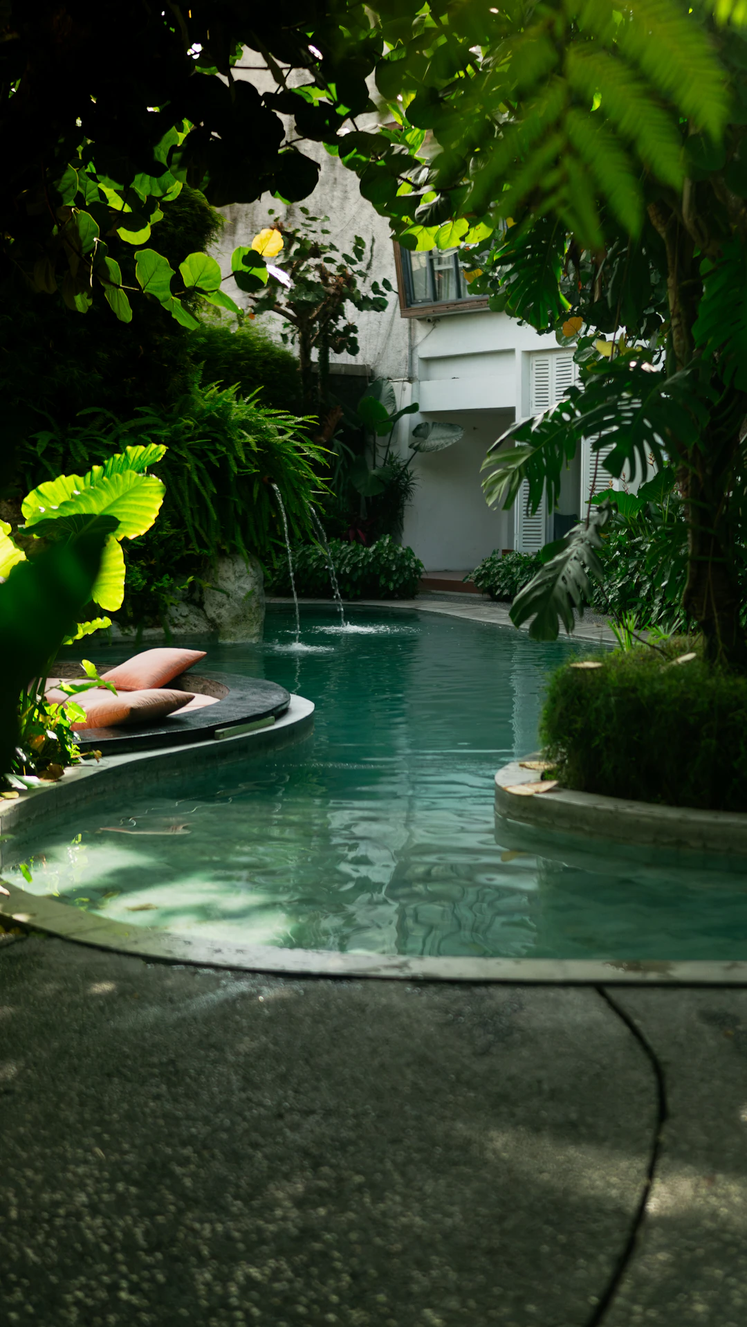 The pool and garden