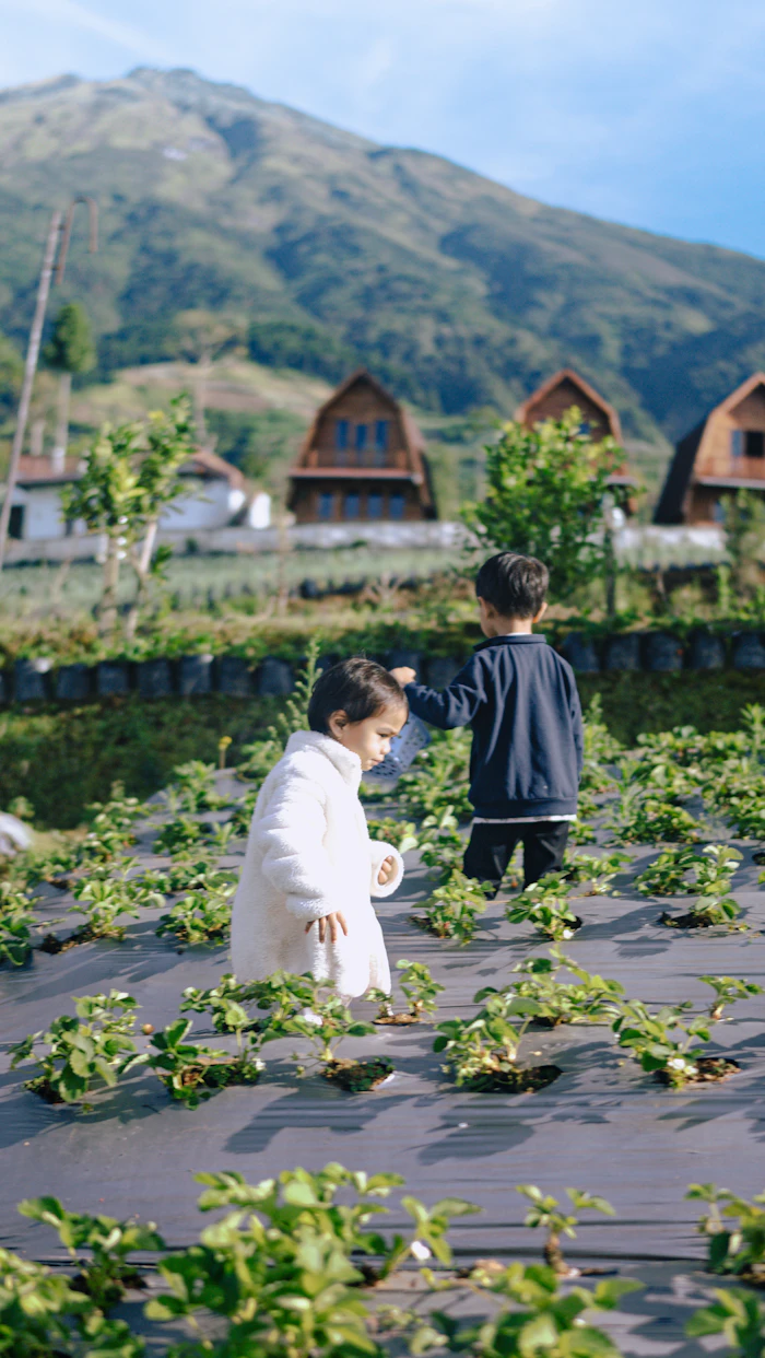 Children exploring the strawberry field