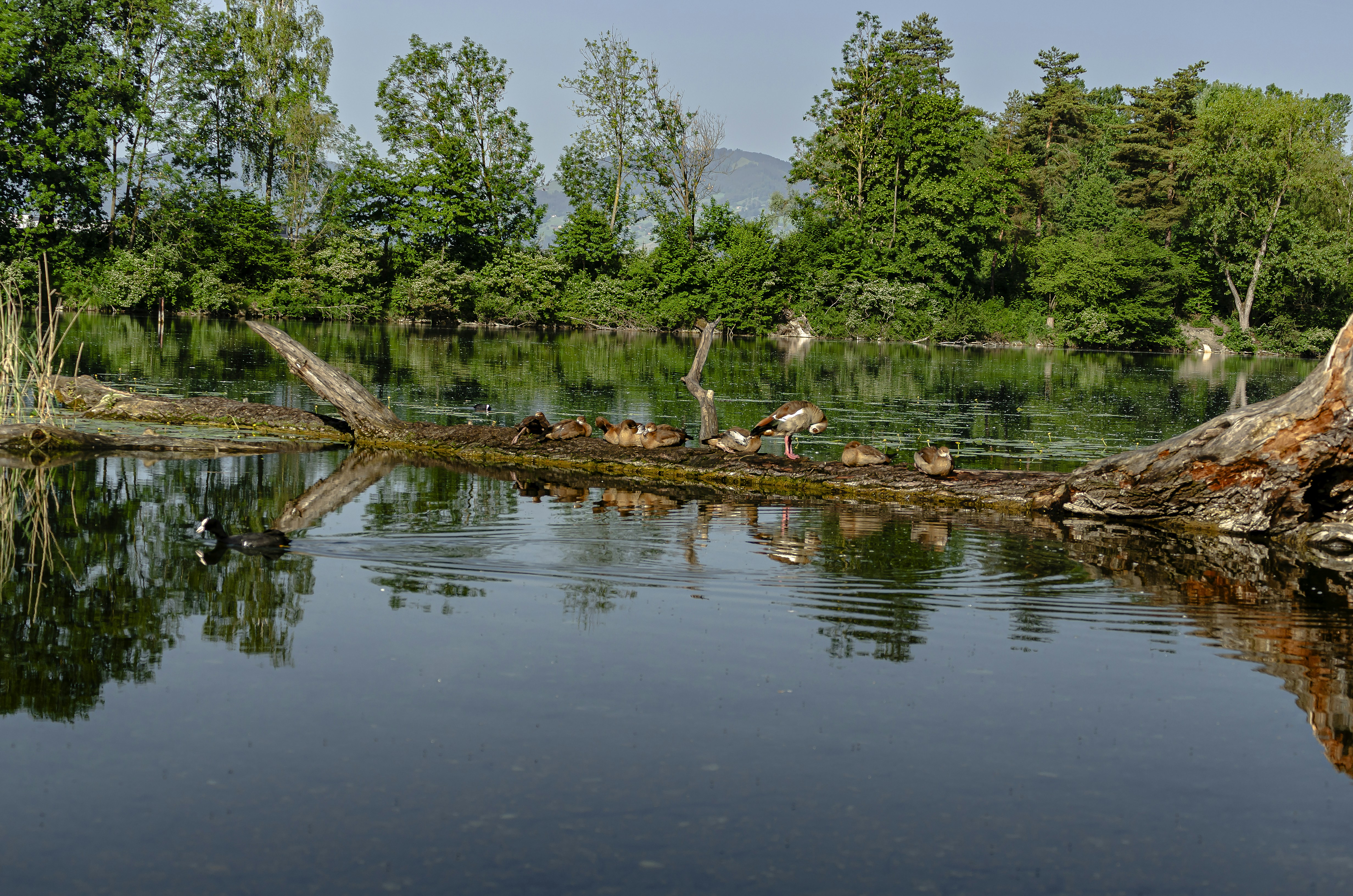 Photo by ironimus2014_44