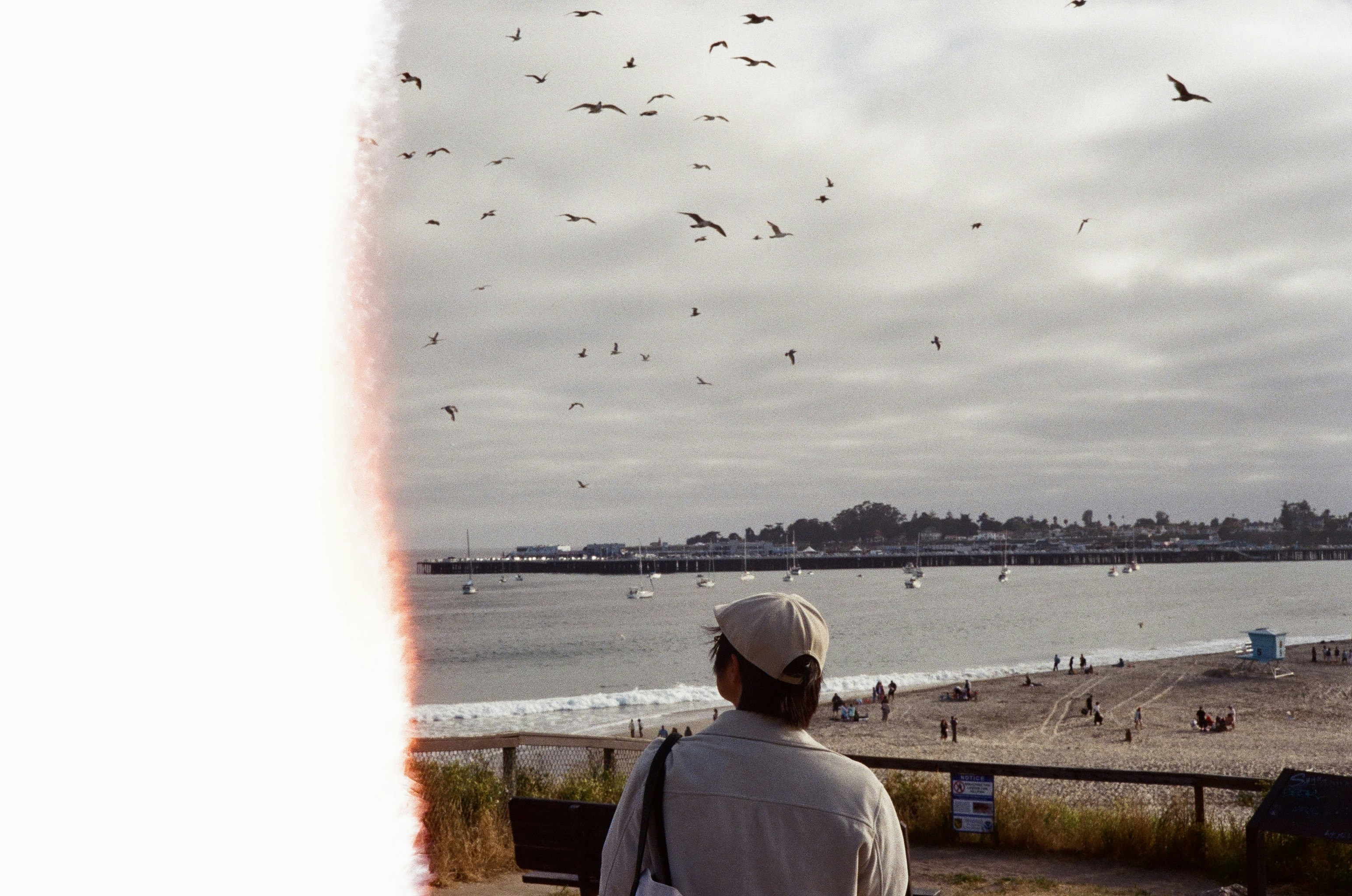 Photo by justzht