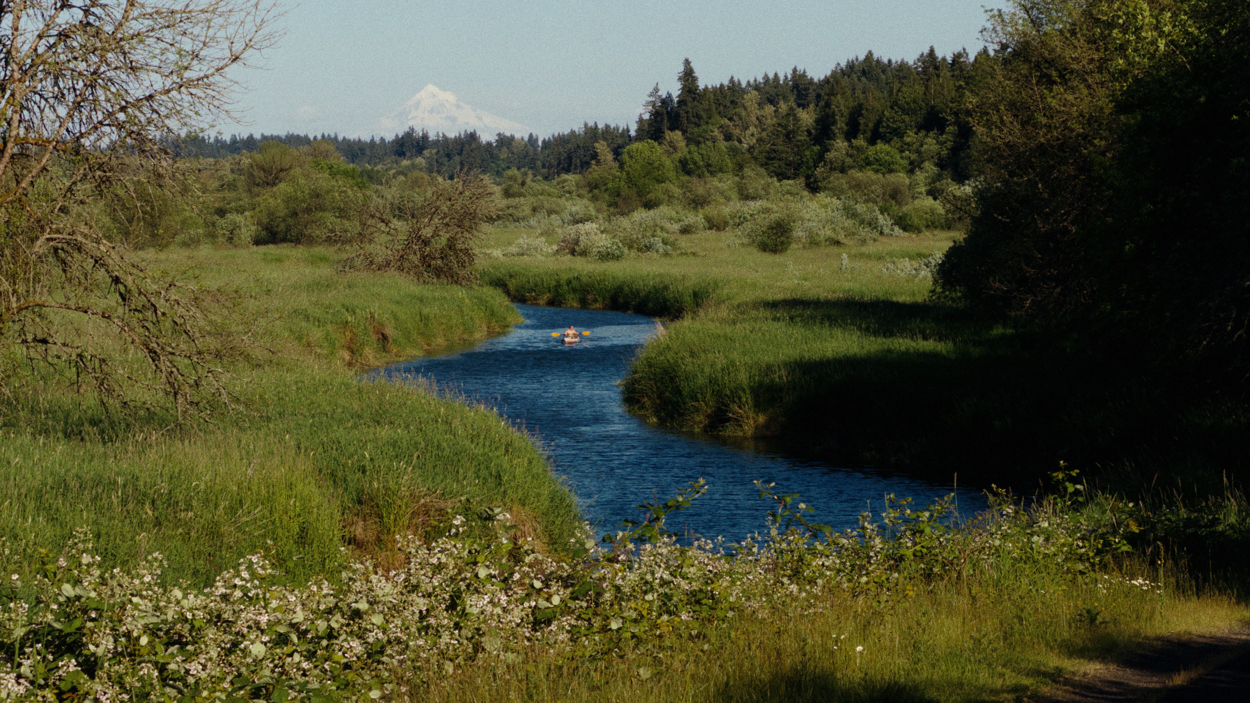 Andrew Molera State Park