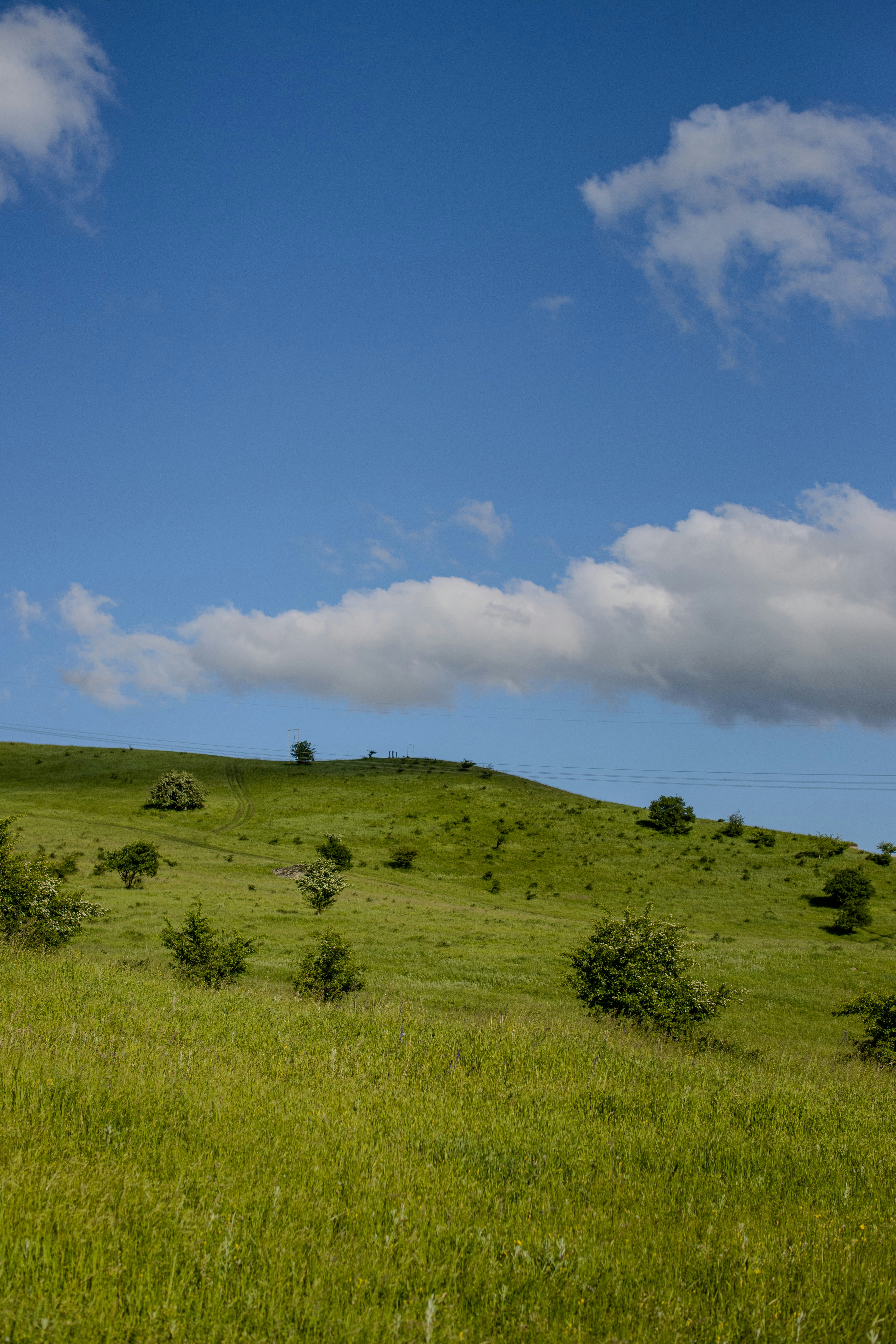 Photo by azievv