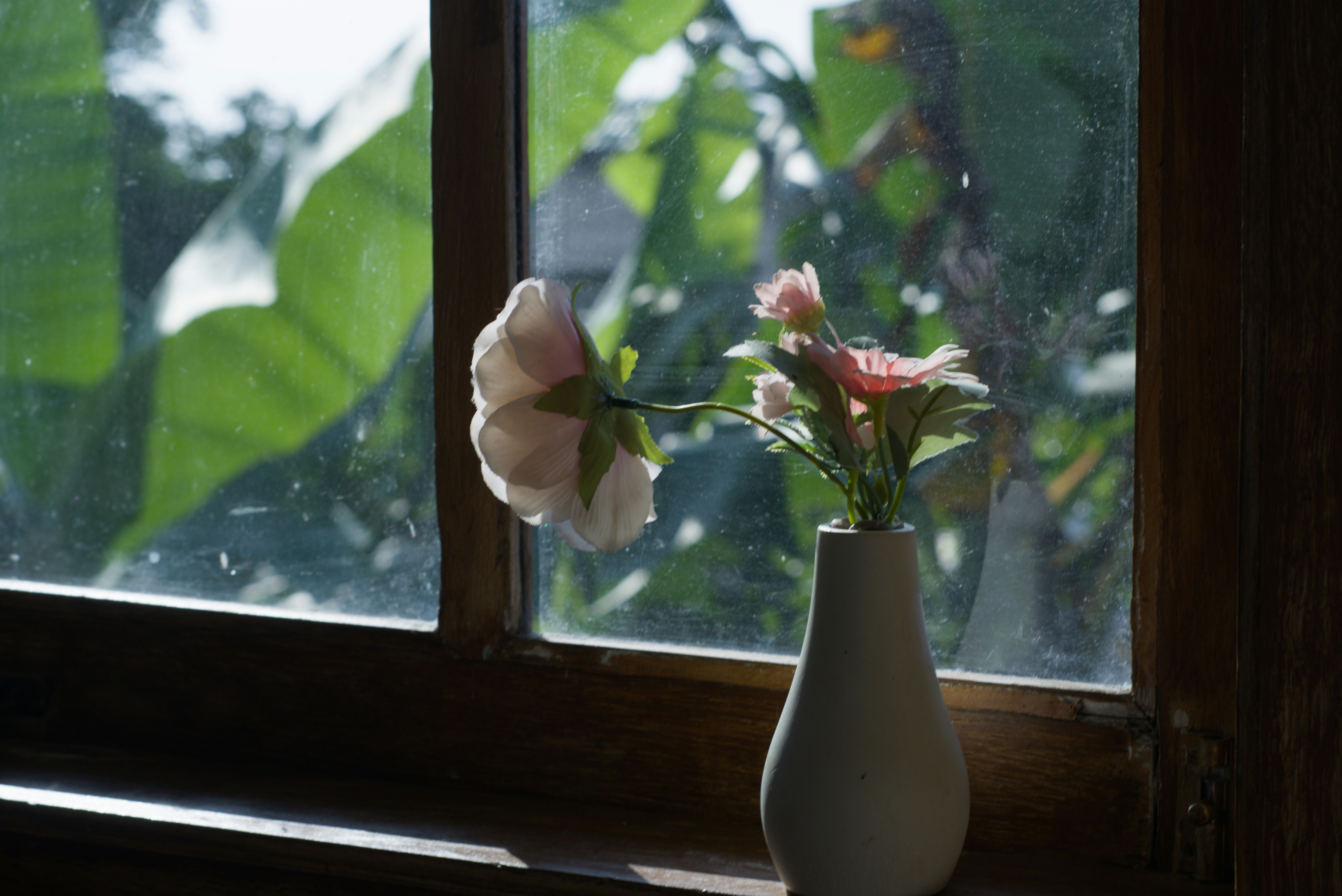 Photo by trileafu