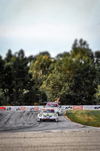 Race cars on a track with a forest backdrop.
