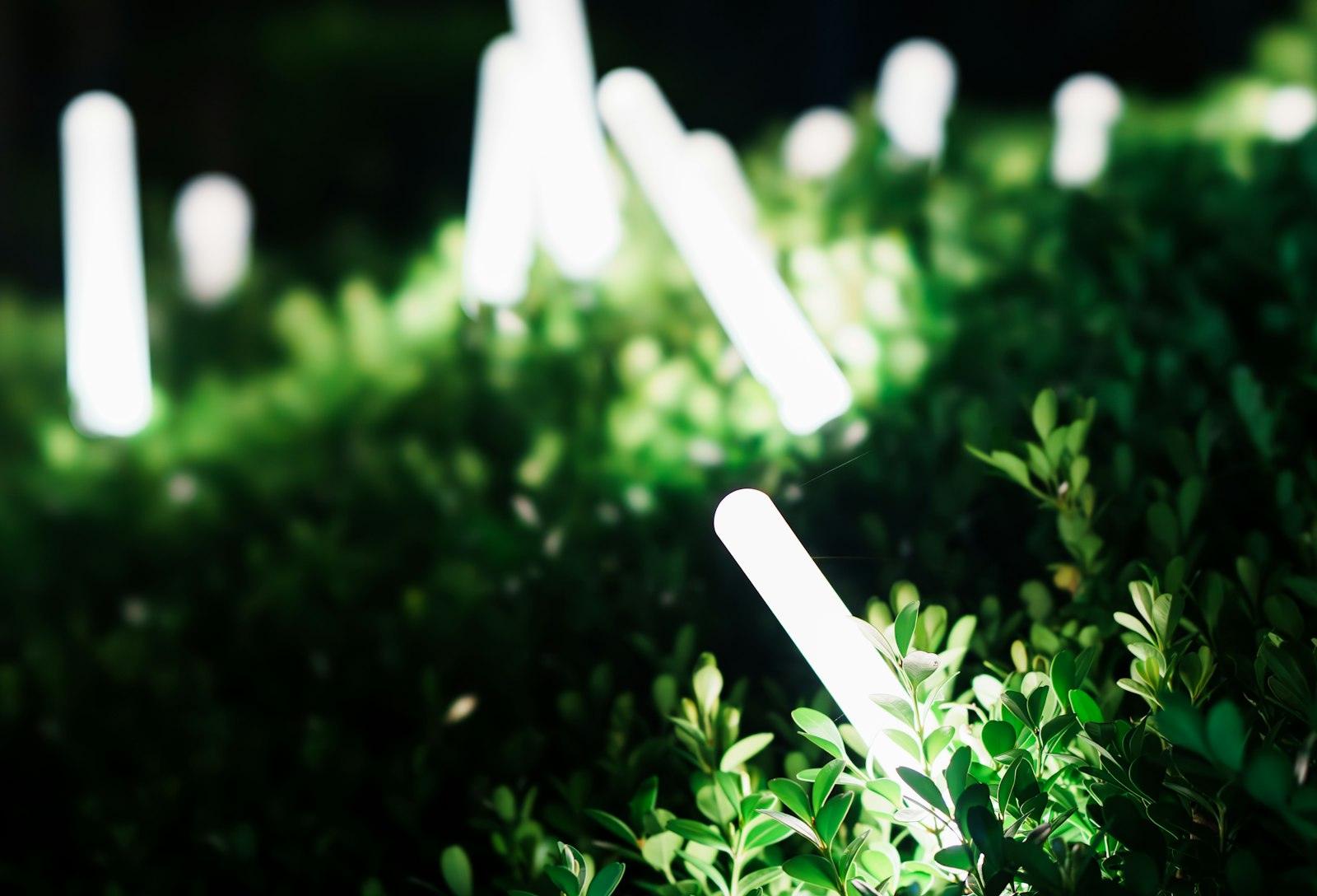 Outdoor lighting, on their list and nowhere else