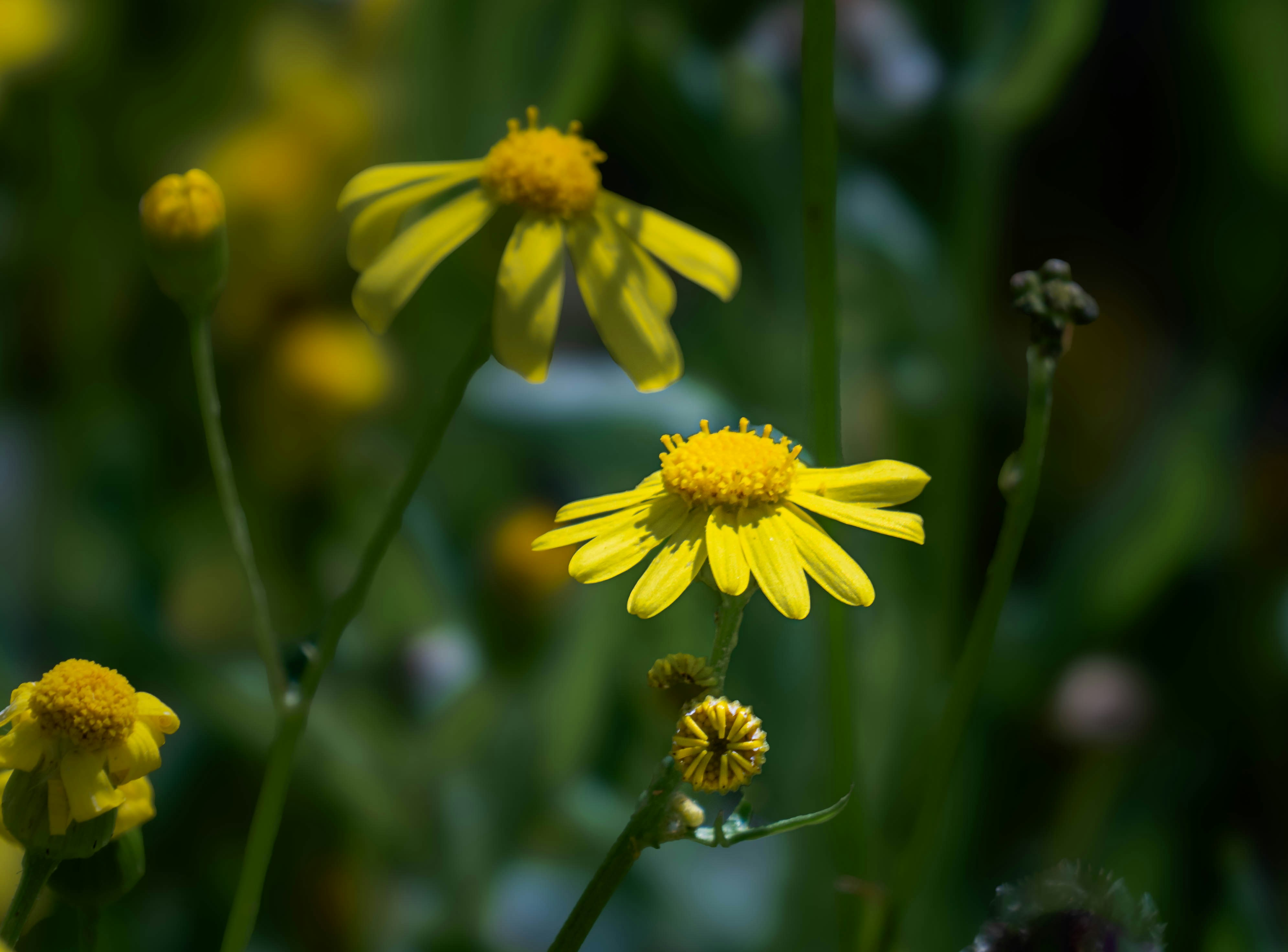 Photo by maviatlas