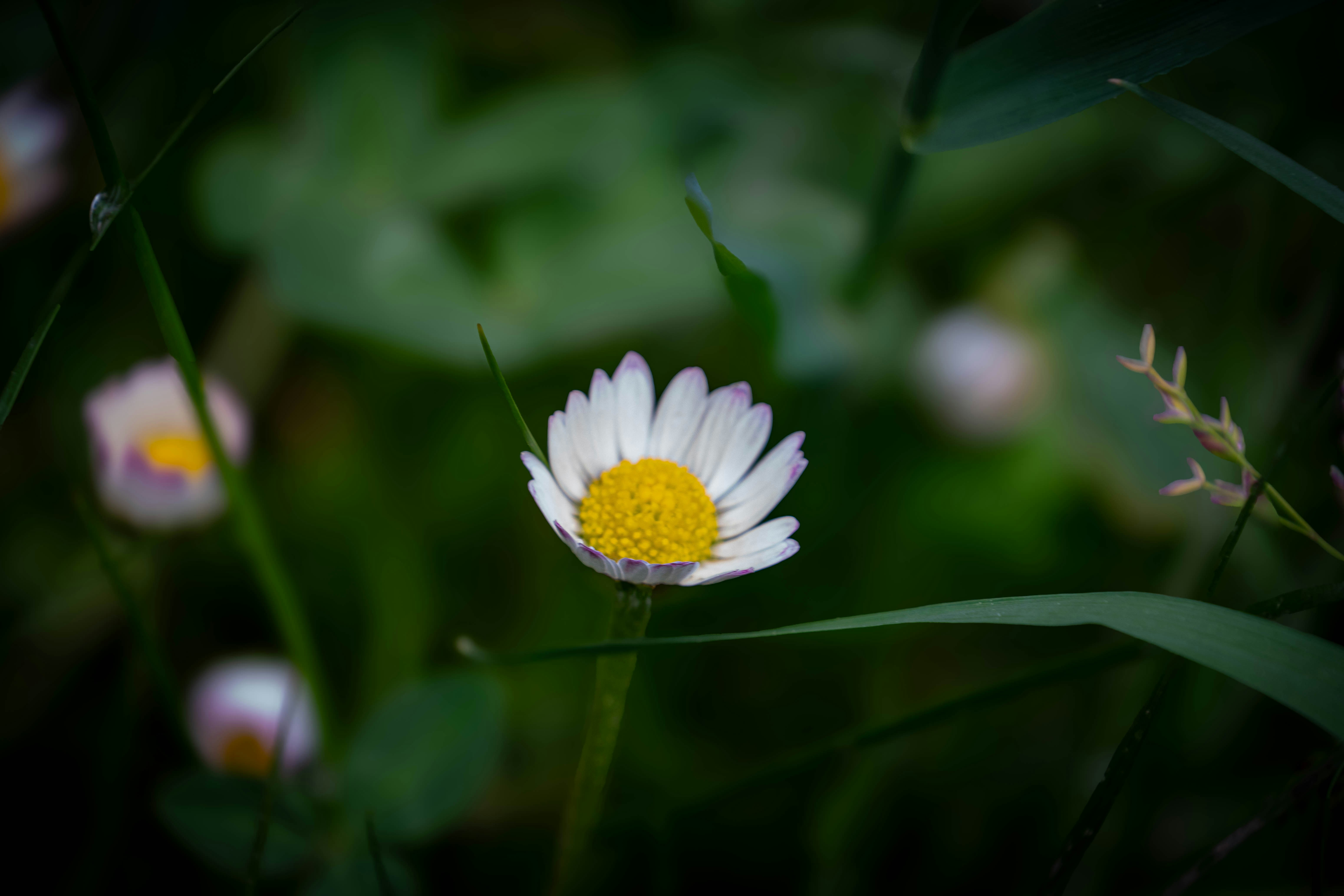 Photo by maviatlas