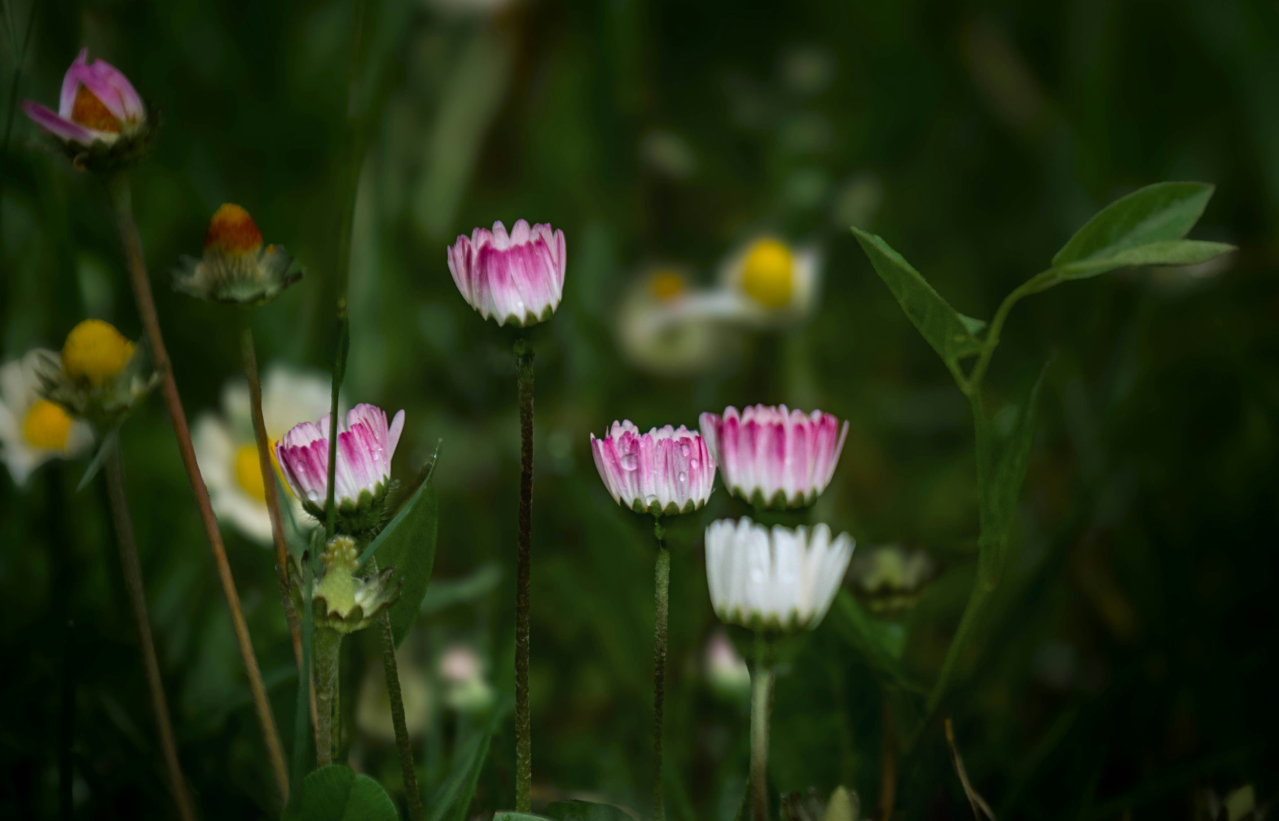Photo by maviatlas