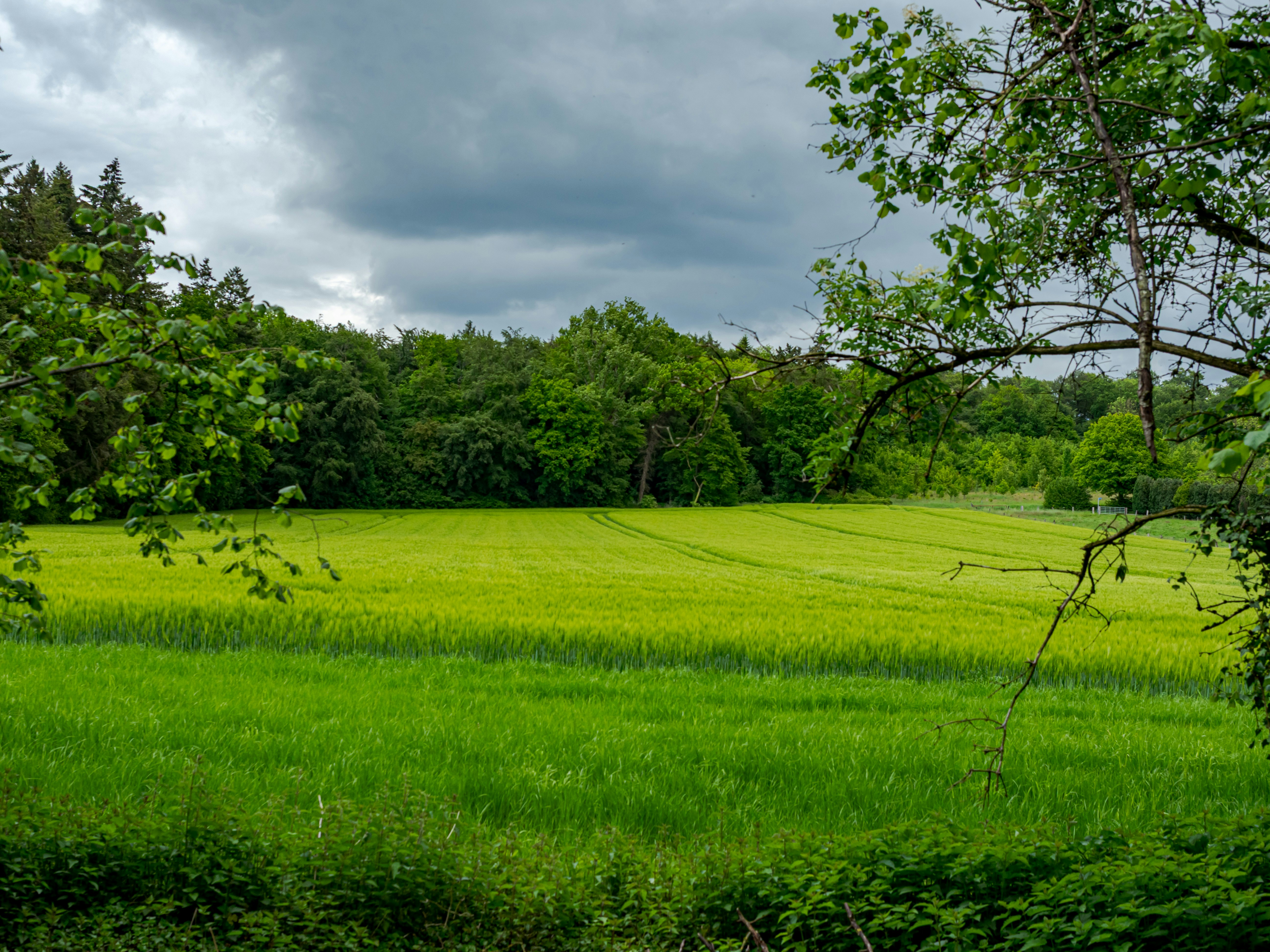 Photo by skstrannik
