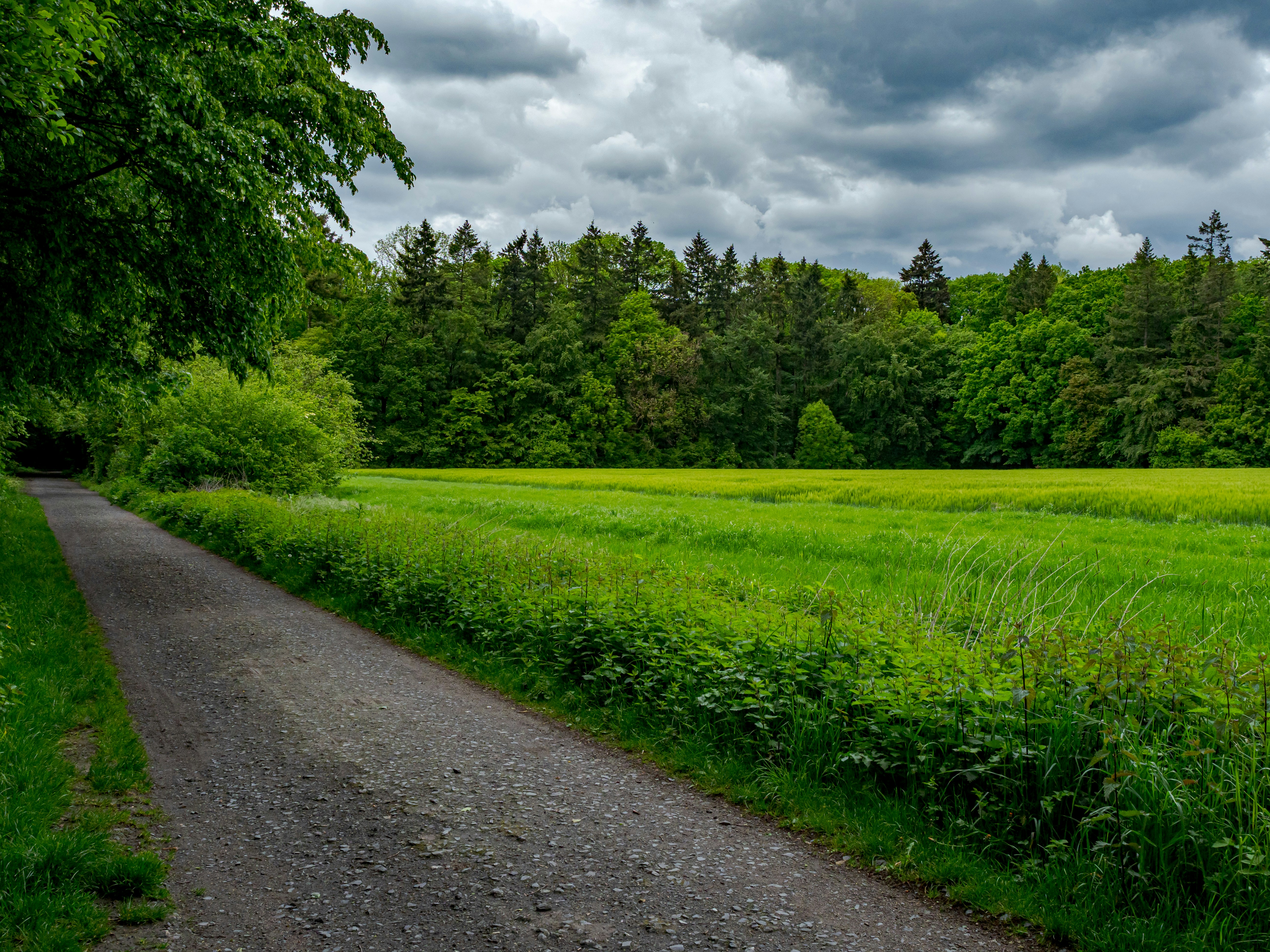 Photo by skstrannik
