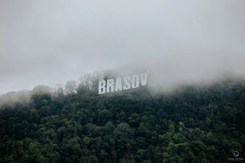 Best Glamping Spots Near Brasov for a Night Under the Stars