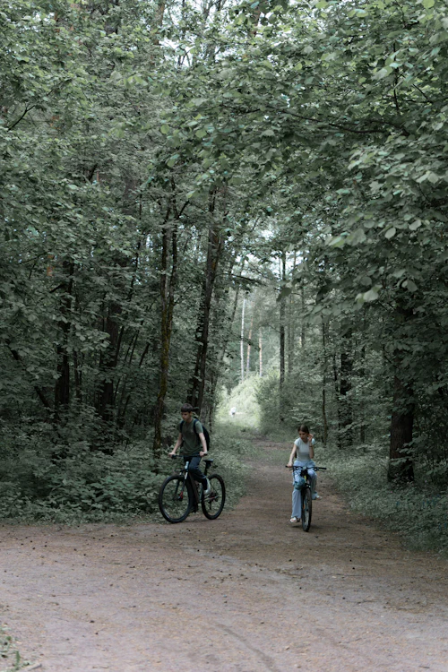 Zwei Mountainbiker halten auf einem breiten Waldweg