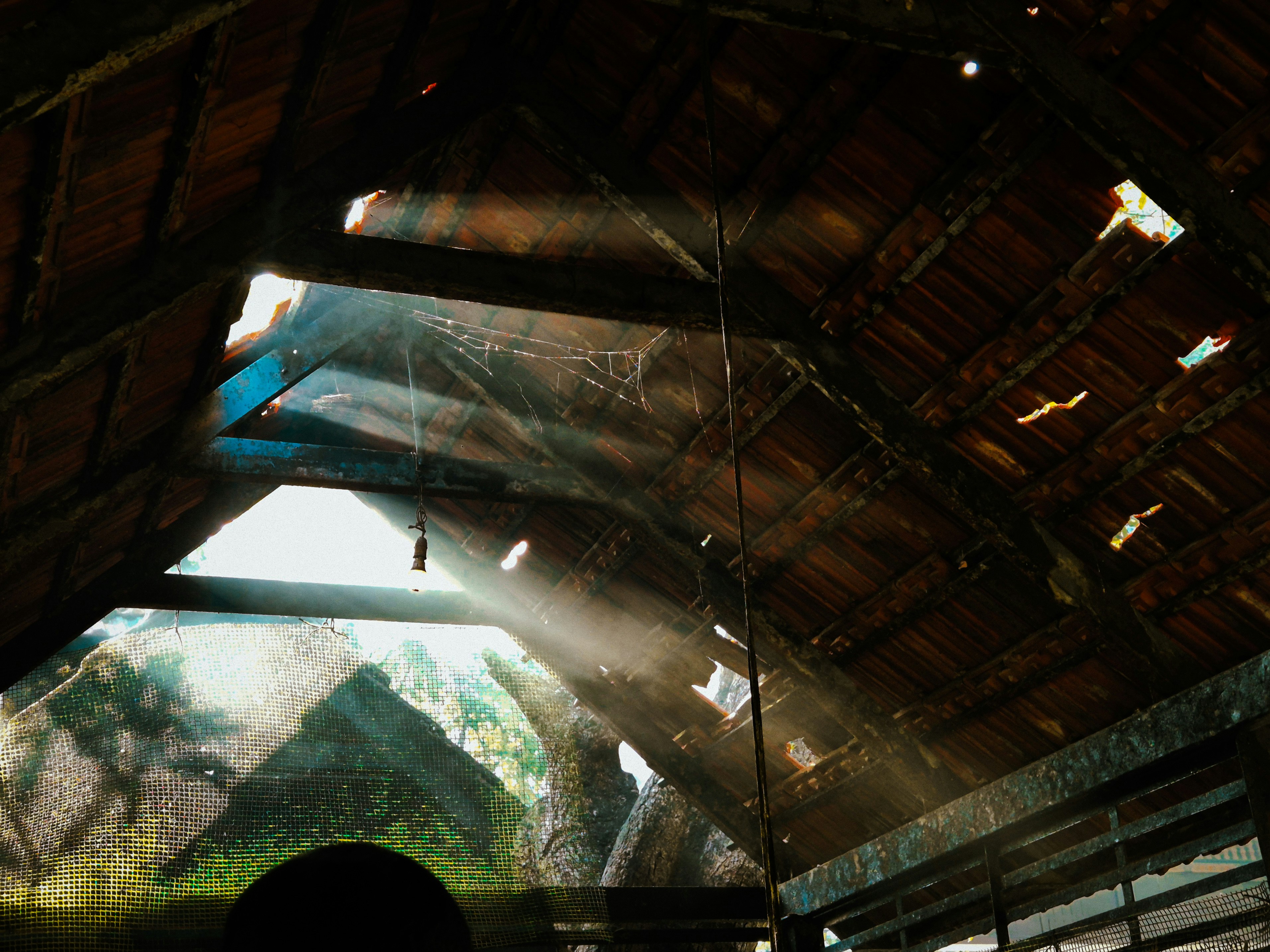 tropical attic interior wallpaper, wallpaper, Tropical Attic Decorating Tips for a Lush Home Retreat 4