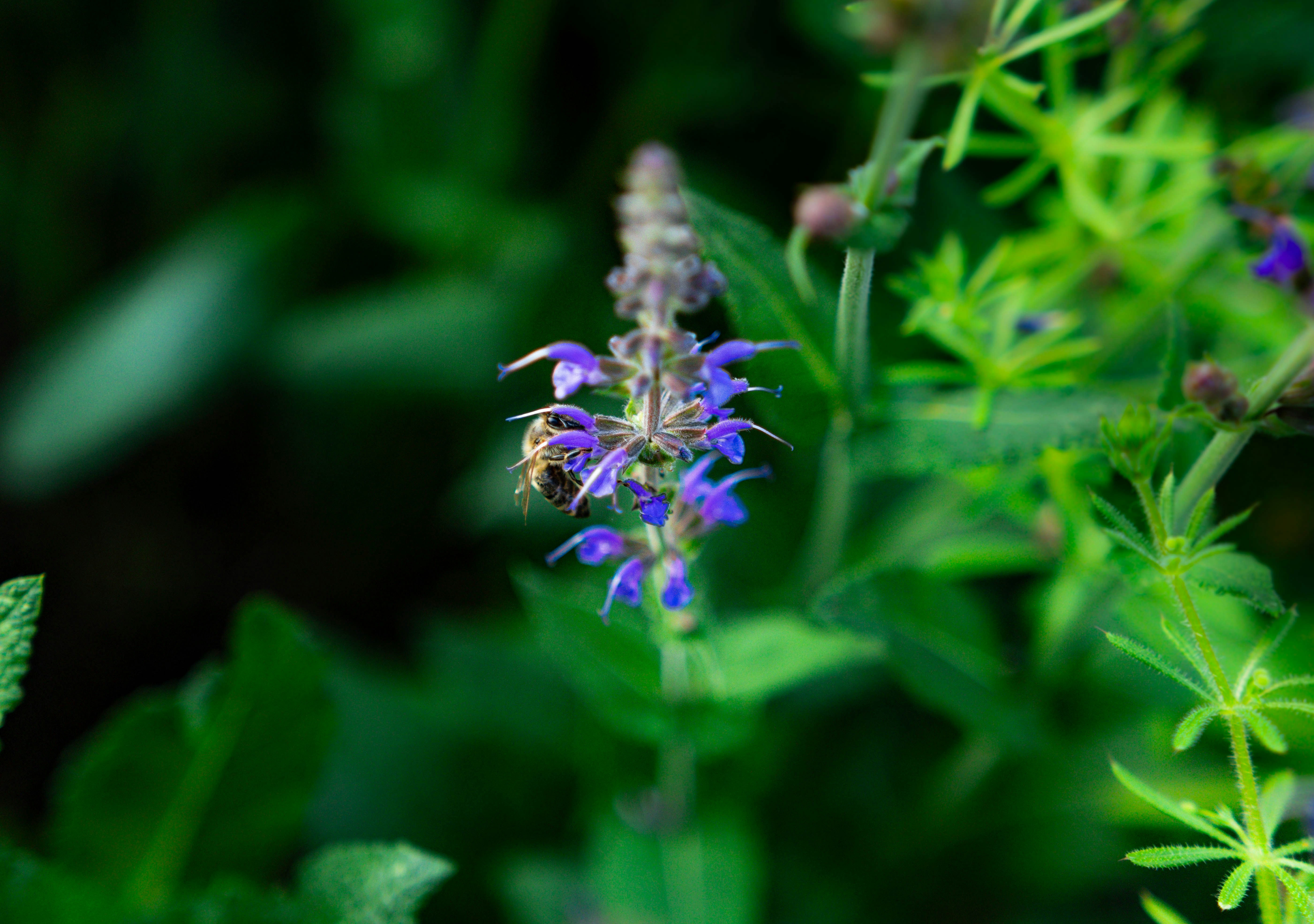 Photo by whitelist